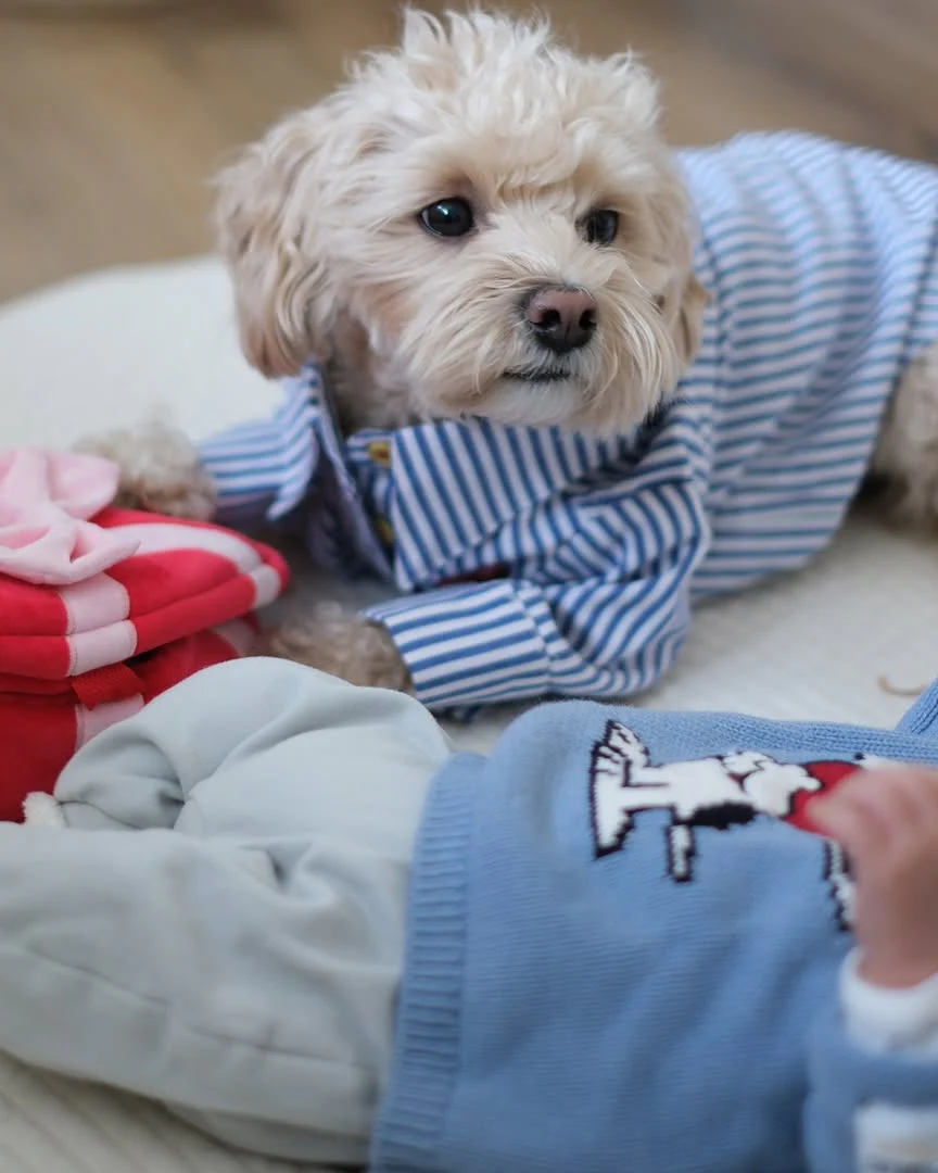Nantucket Blue + White Striped Button Up - Image 8