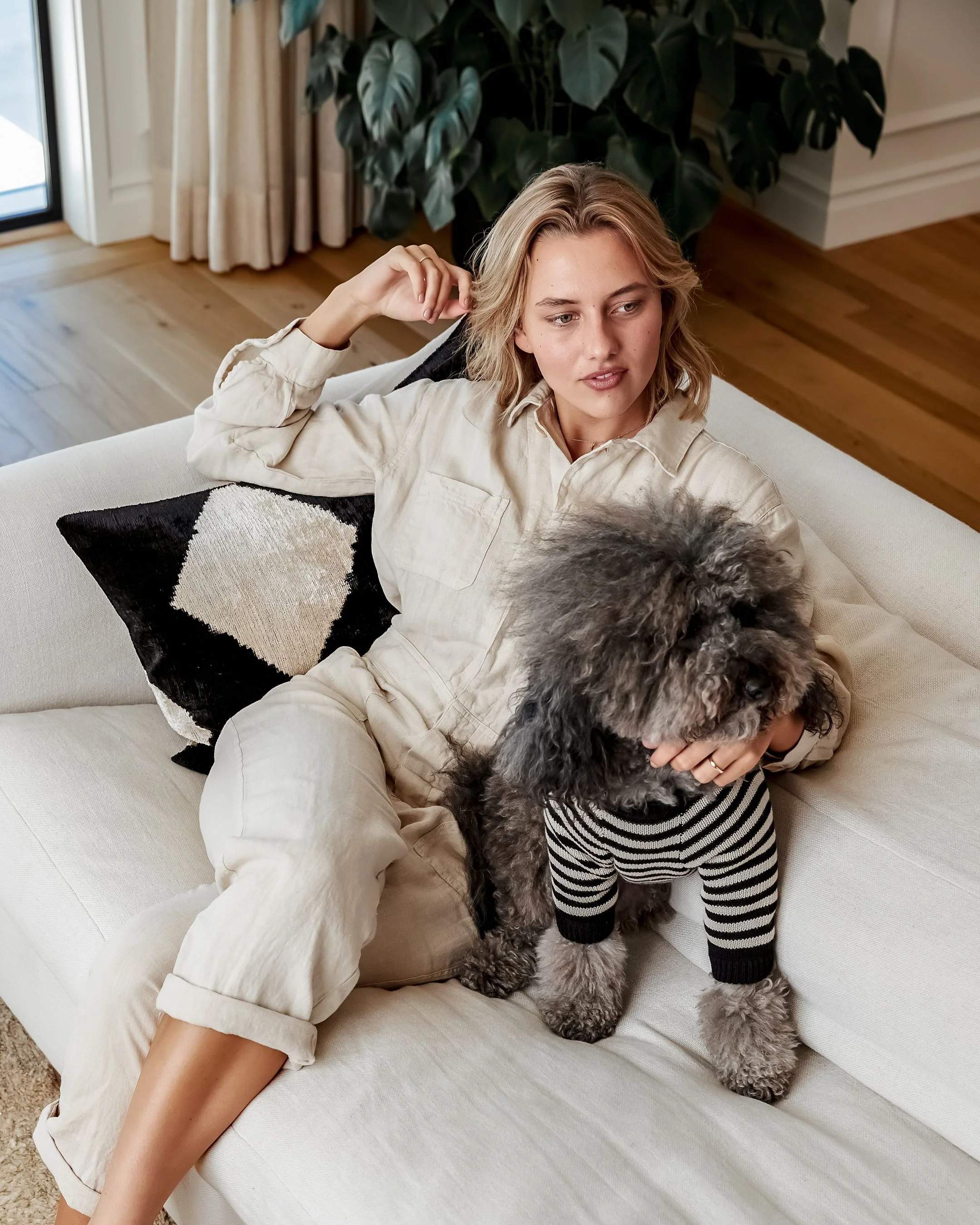 Like A Bandit Black Striped Dog Sweater - Image 5