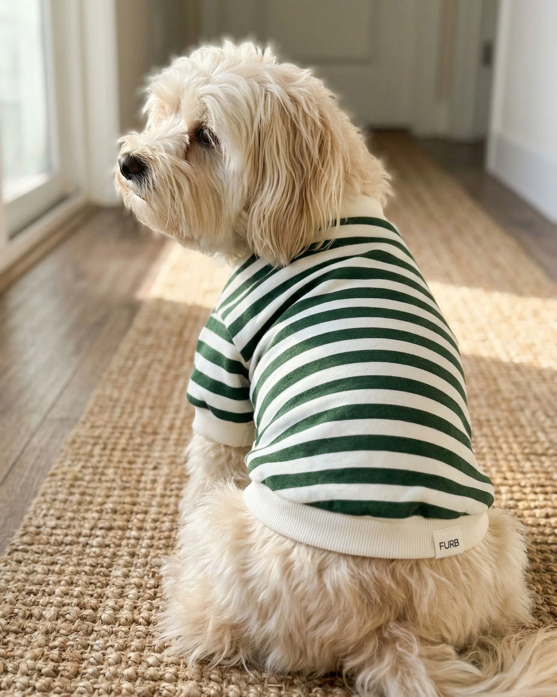 Cooper Green + Ivory Striped Dog Sweatshirt - Image 9