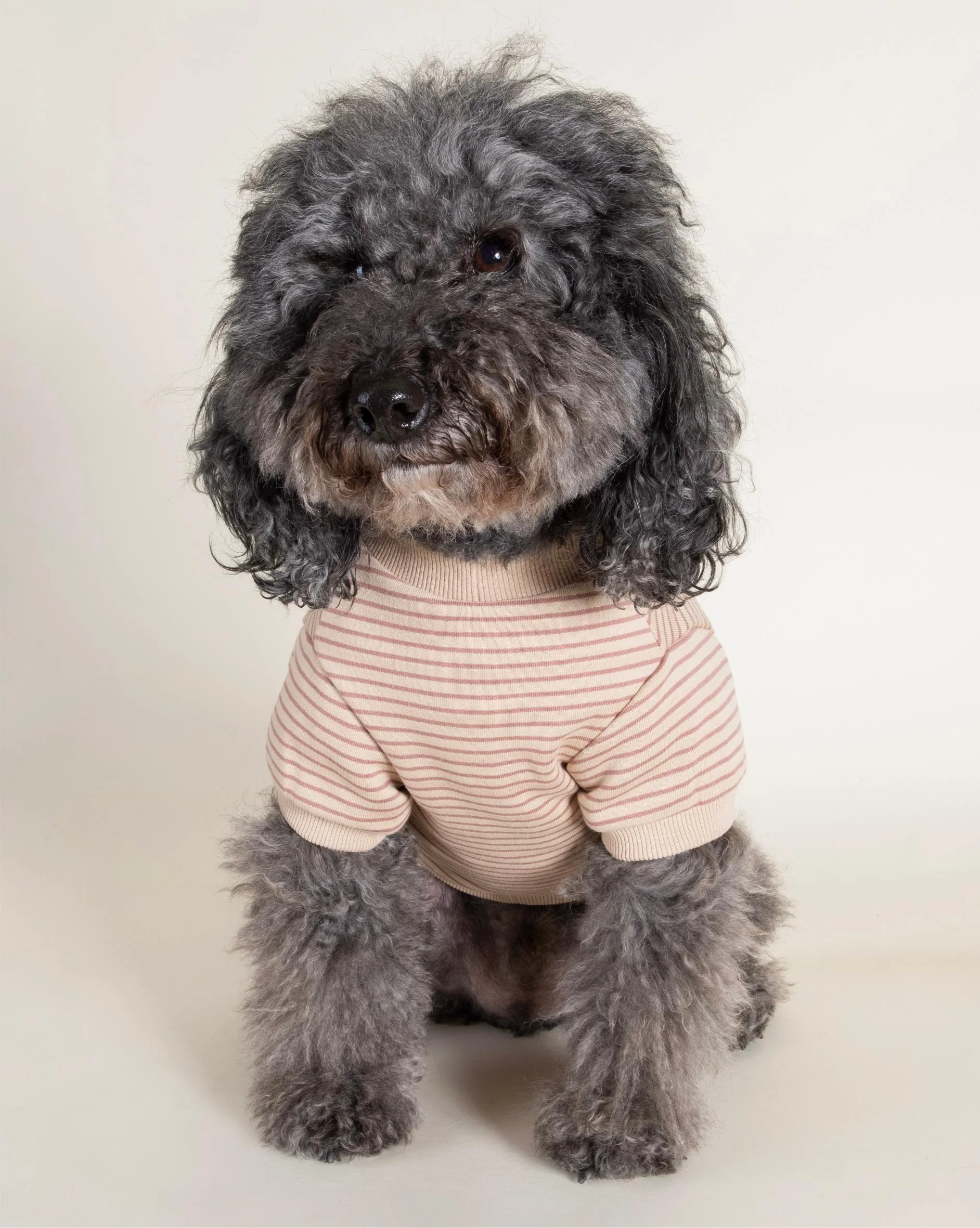 Cali Blush Striped Dog Sweatshirt - Image 2