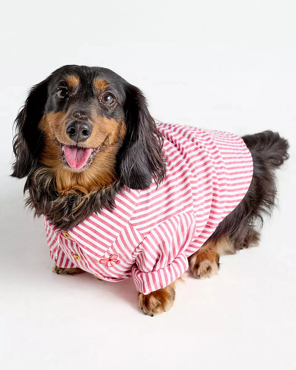 Nantucket Red + White Striped Button Up - Image 4