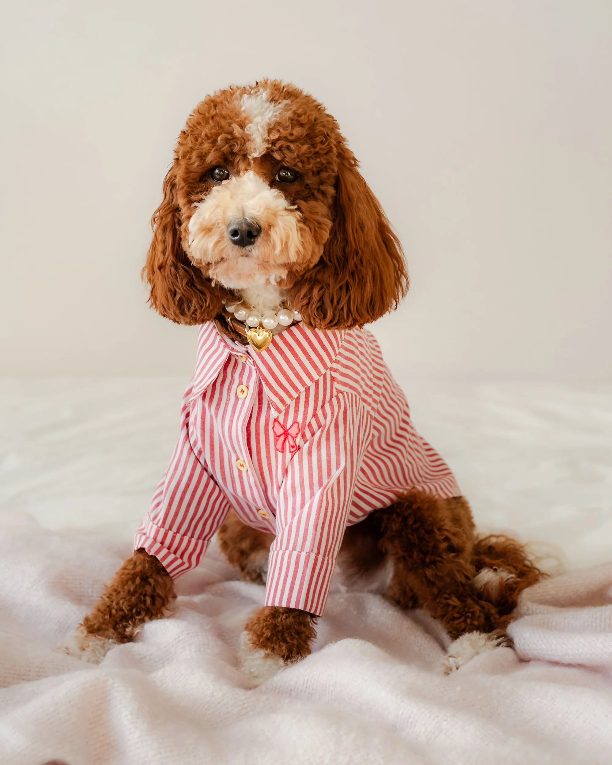 Nantucket Red + White Striped Button Up - Image 5