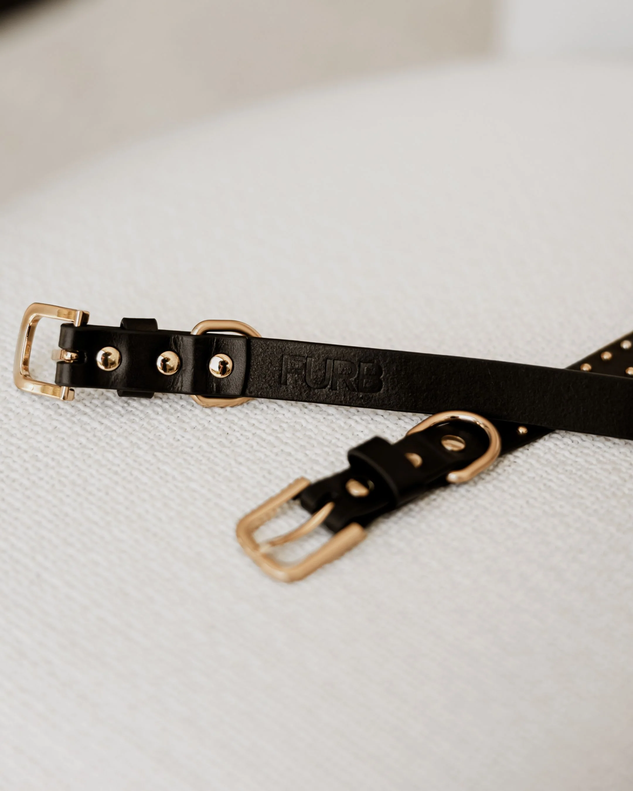 What a Stud Black Leather Dog Collar - Image 6