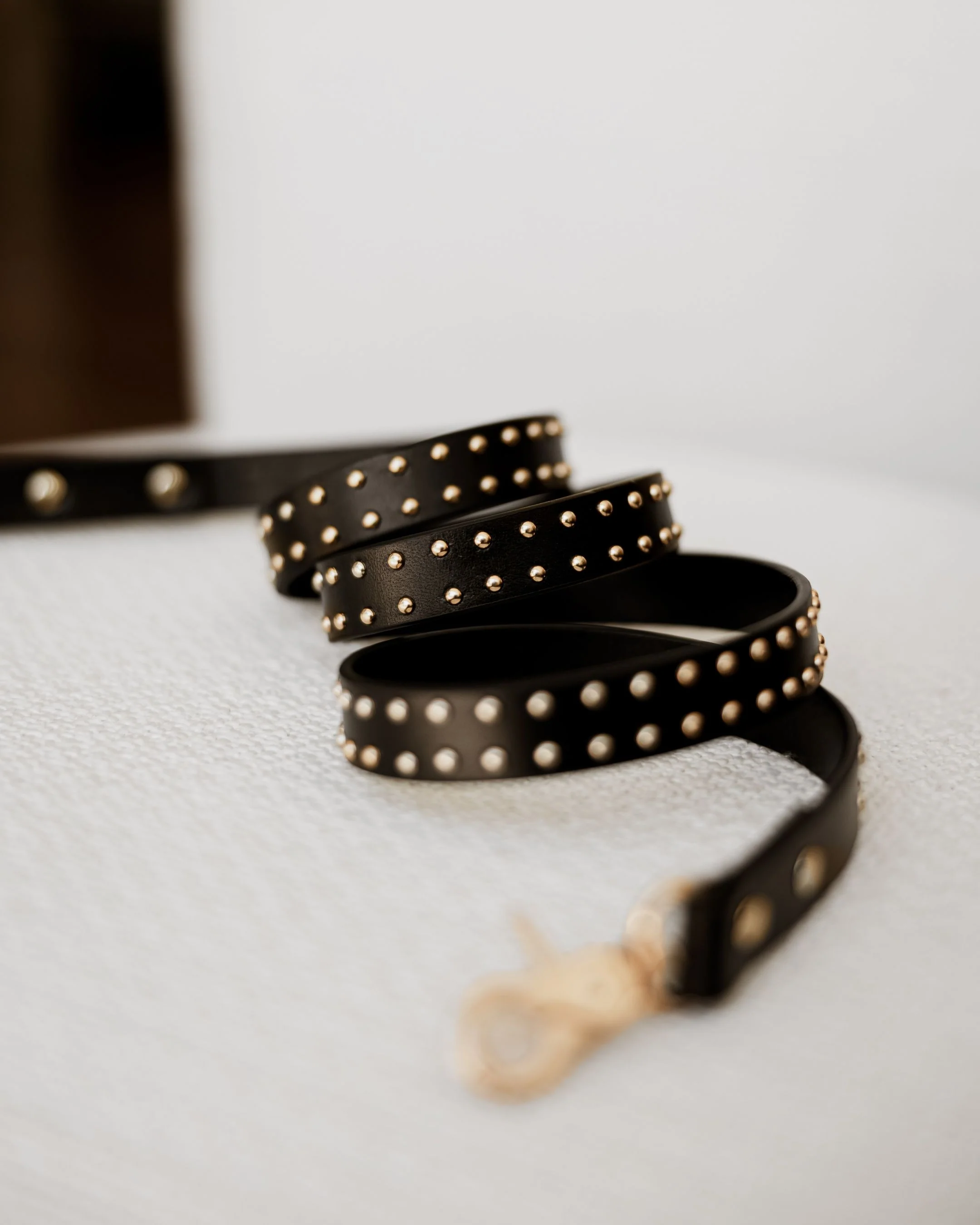What a Stud Black Leather Dog Leash - Image 3