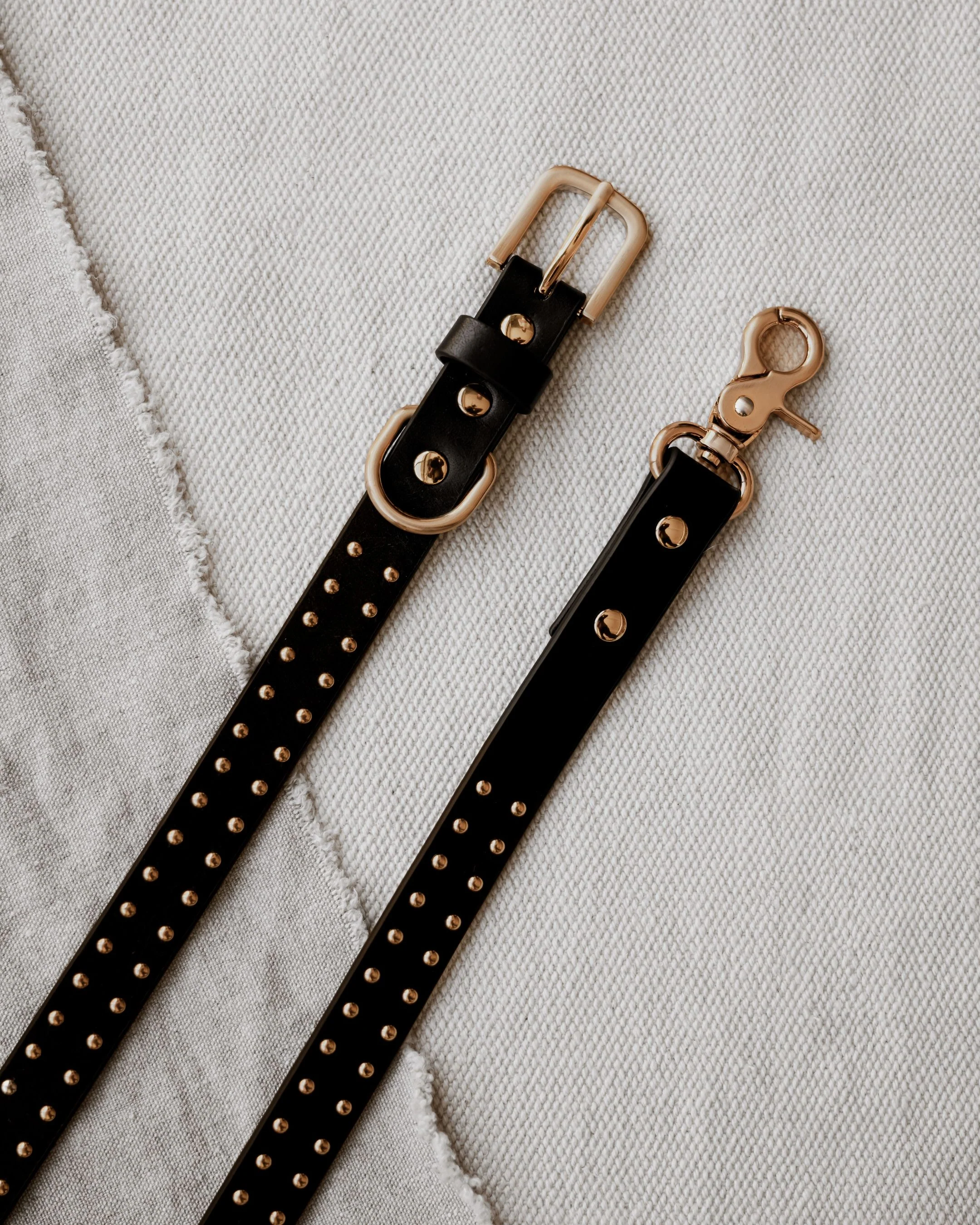 What a Stud Black Leather Dog Leash - Image 4