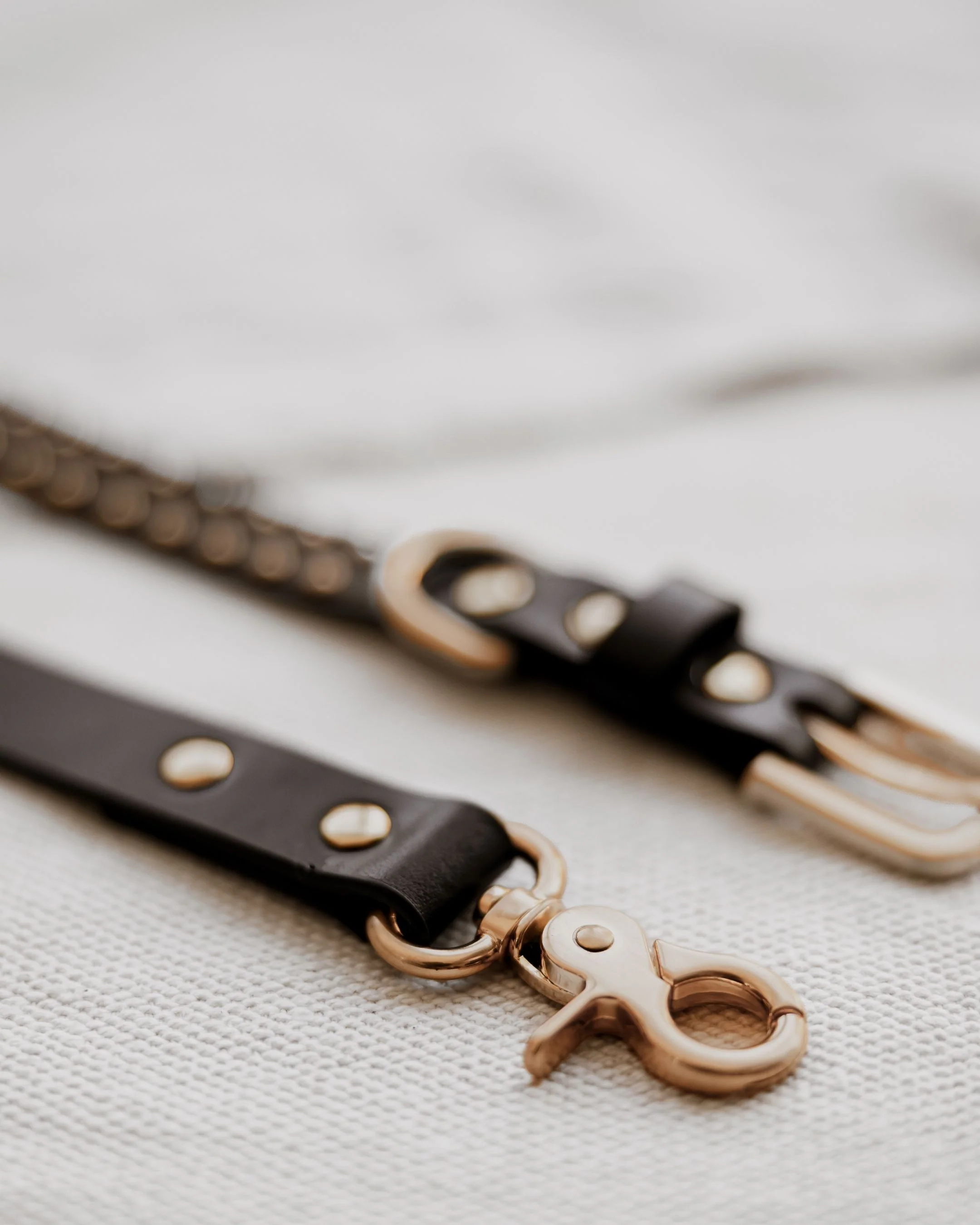 What a Stud Black Leather Dog Leash - Image 5
