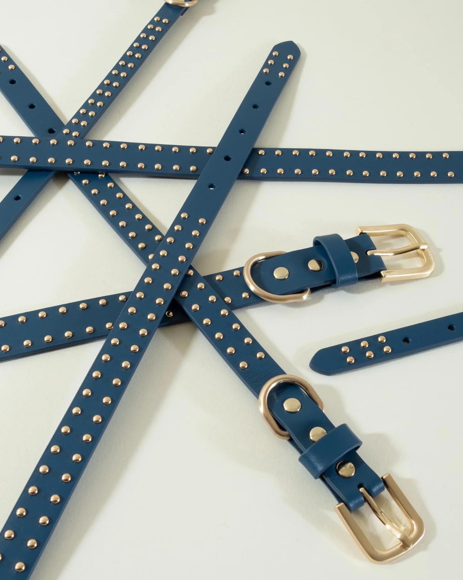 What a Stud Anchor Blue Leather Dog Collar - Image 5