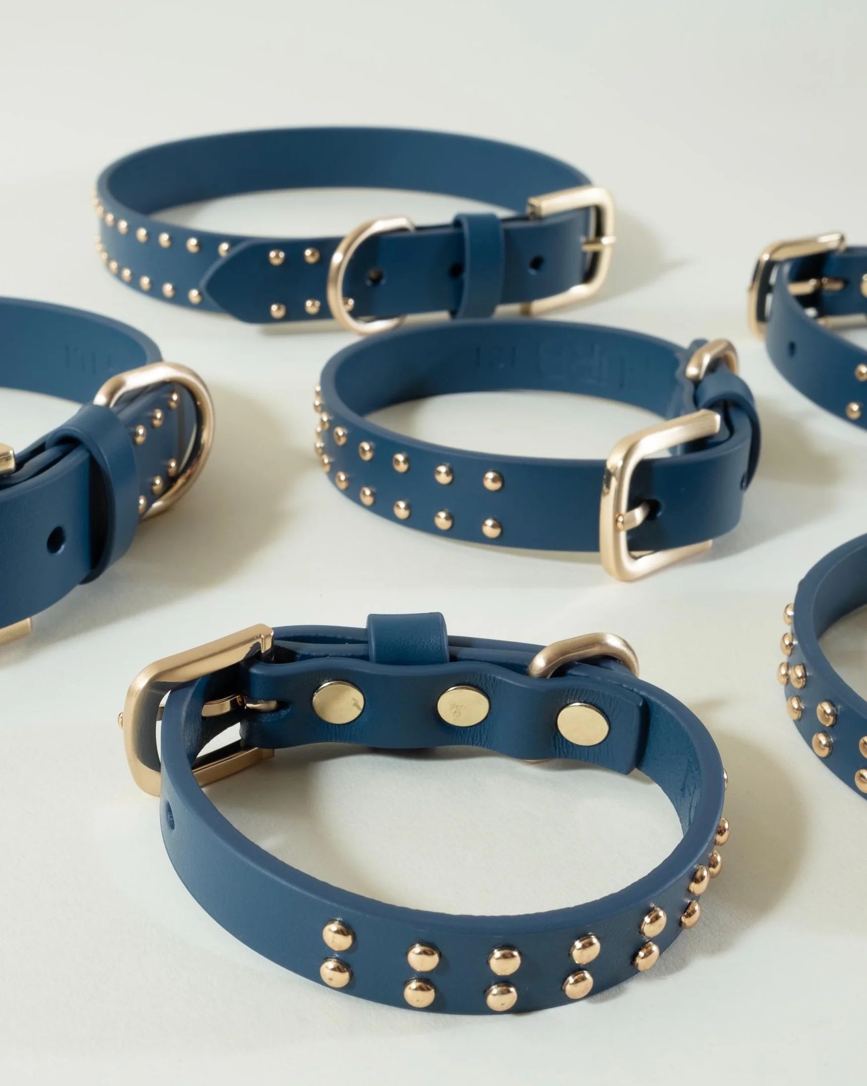 What a Stud Anchor Blue Leather Dog Collar - Image 6