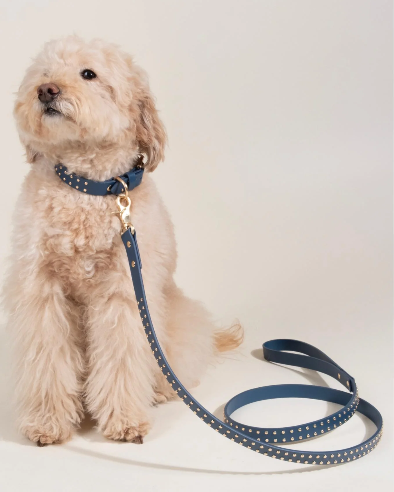 What a Stud Anchor Blue Leather Dog Leash - Image 2