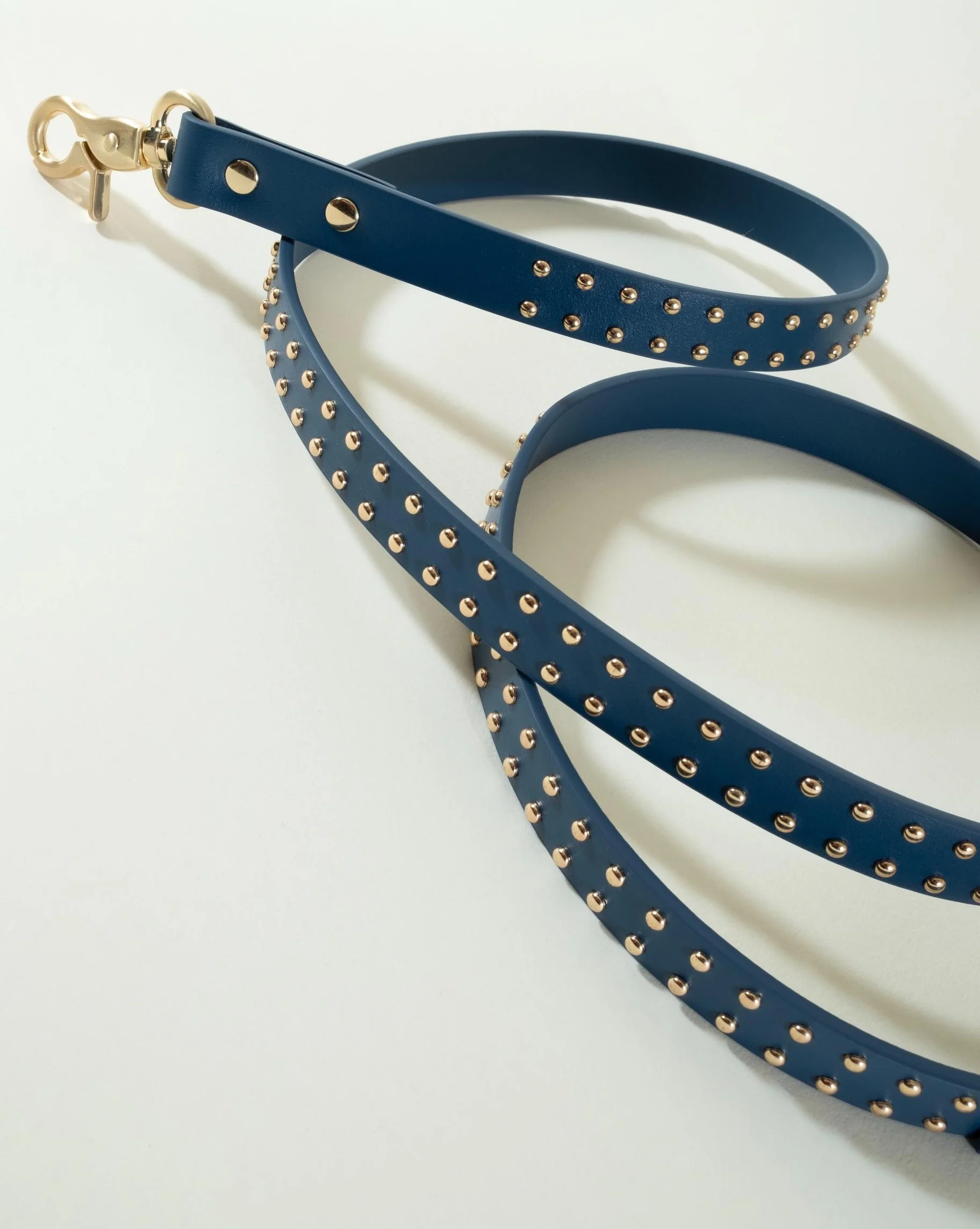 What a Stud Anchor Blue Leather Dog Leash - Image 5