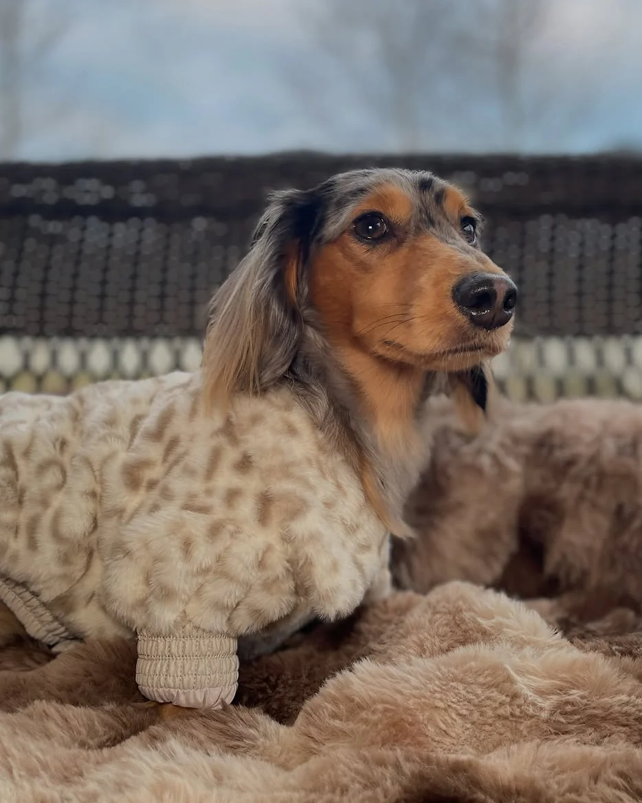 Broadway Snow Leopard Faux Fur Dog Jacket - Image 5