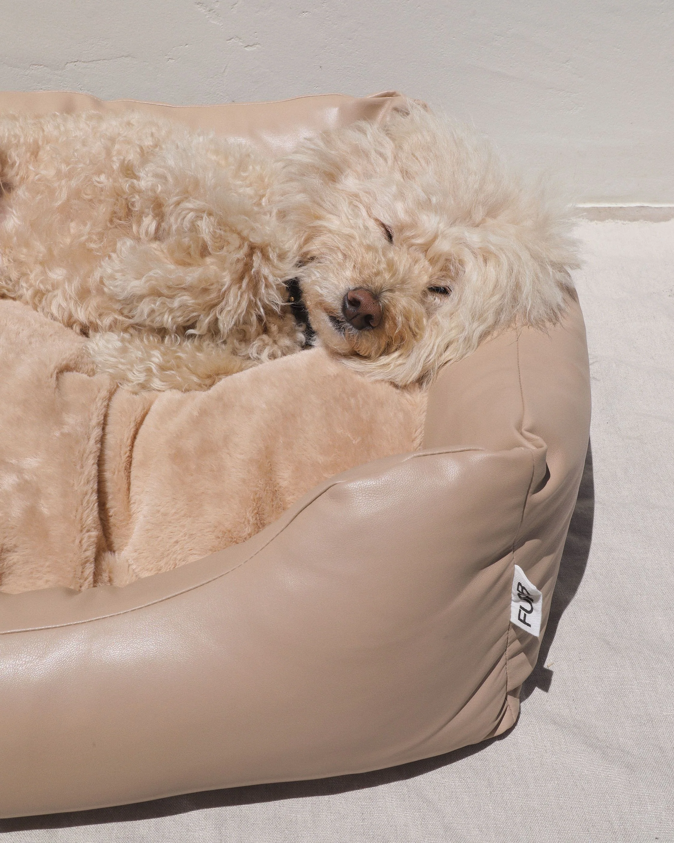 All Curled Up Tan Structured Bed - Image 5