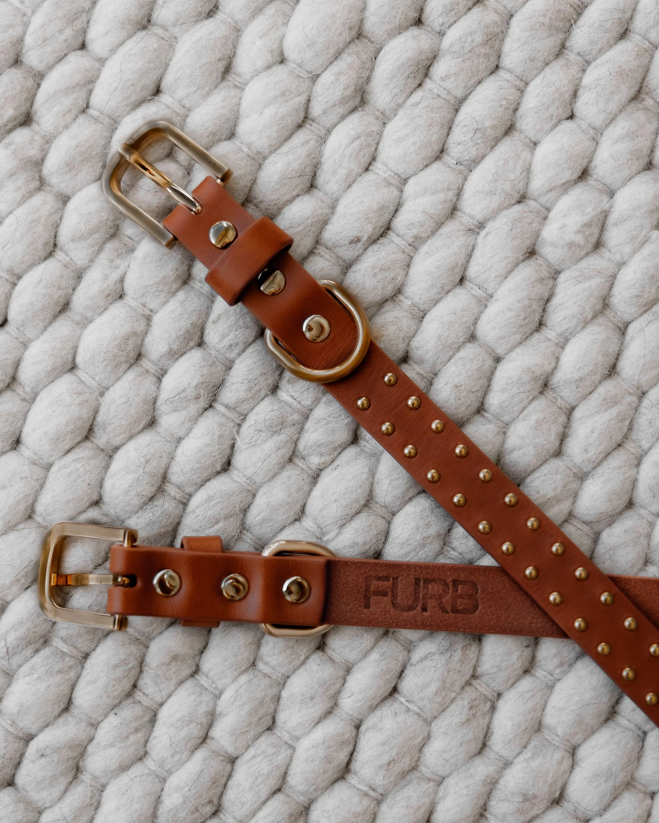 What a Stud Tan Leather Dog Collar - Image 4