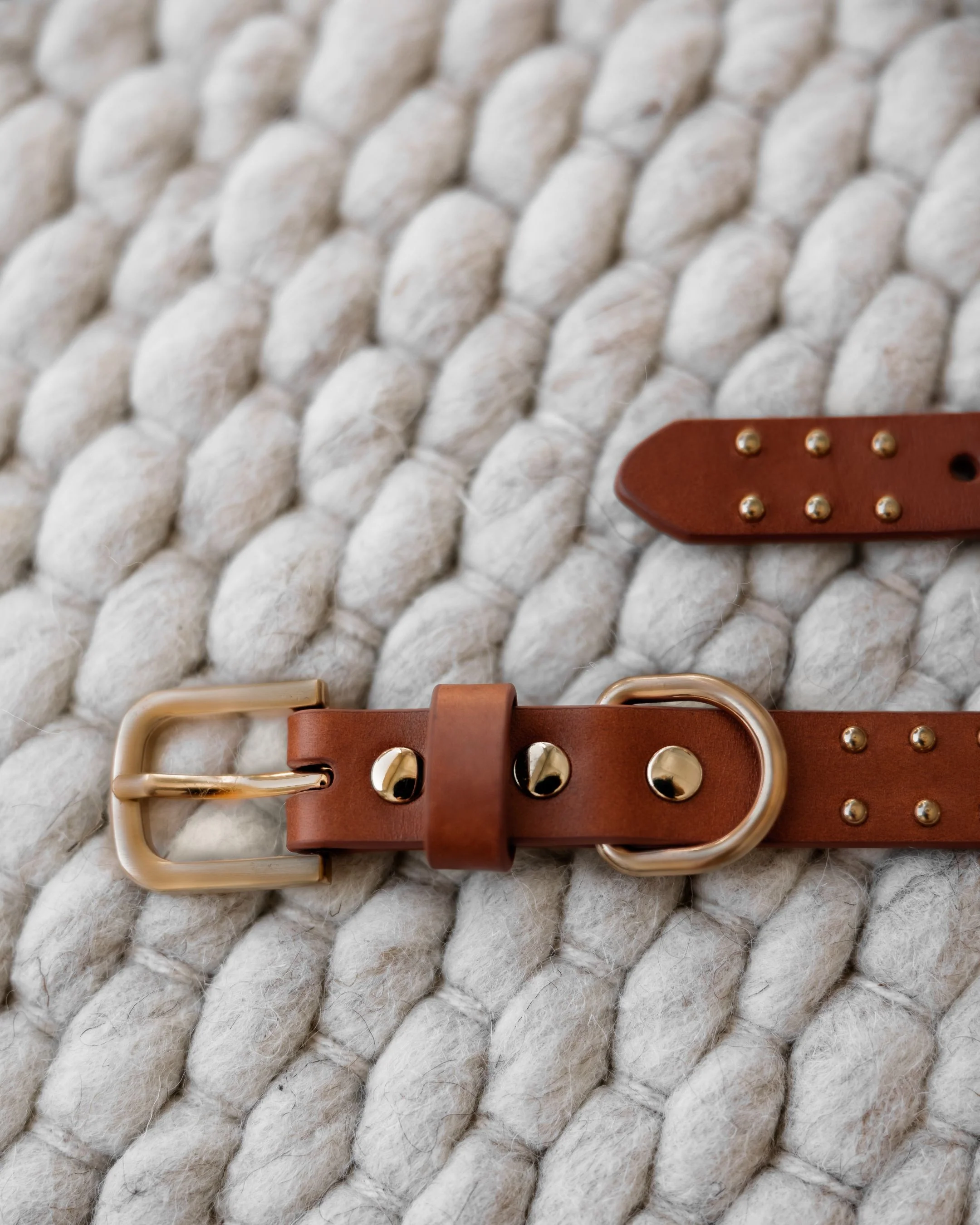 What a Stud Tan Leather Dog Collar - Image 5