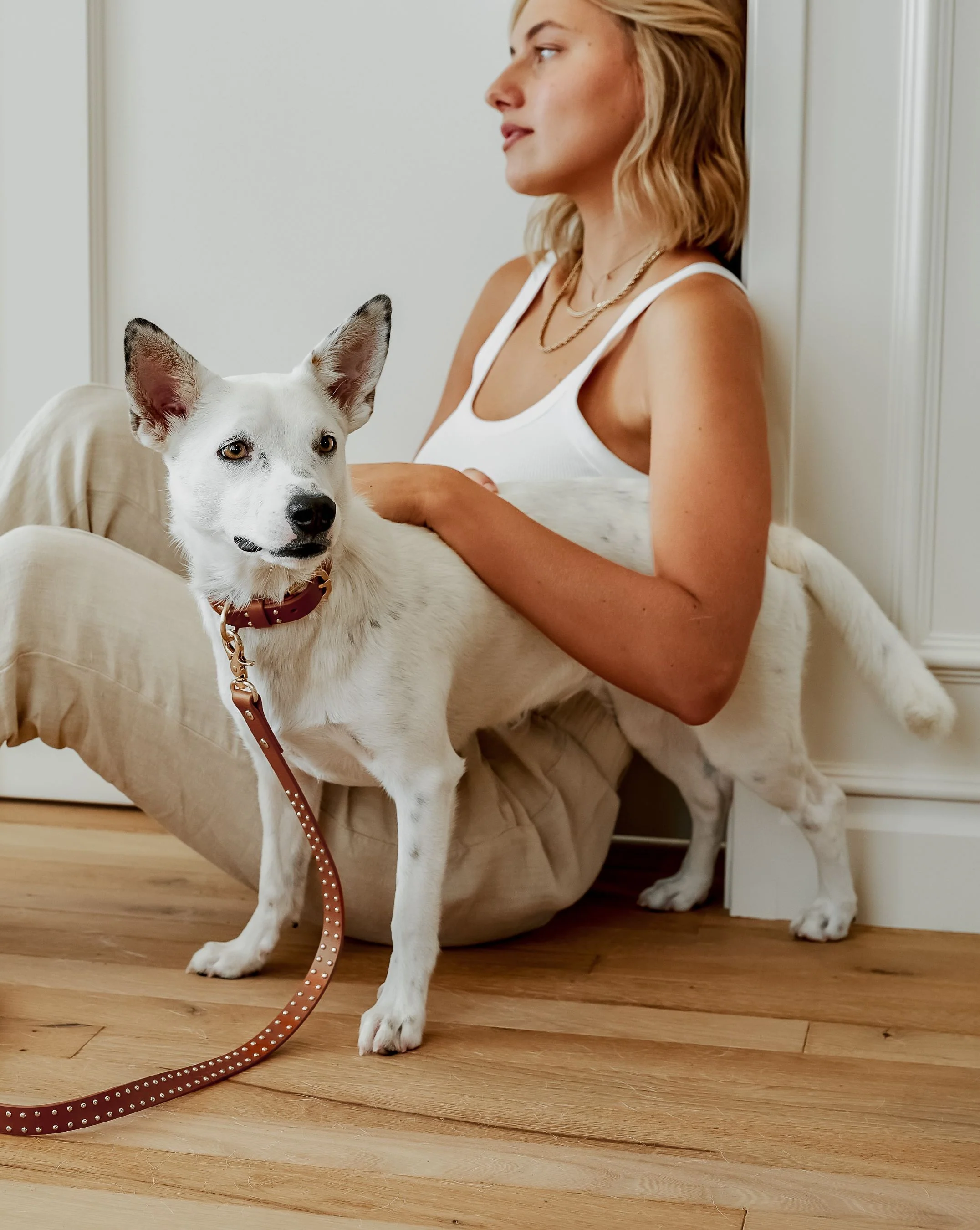 What a Stud Tan Leather Dog Collar - Image 6