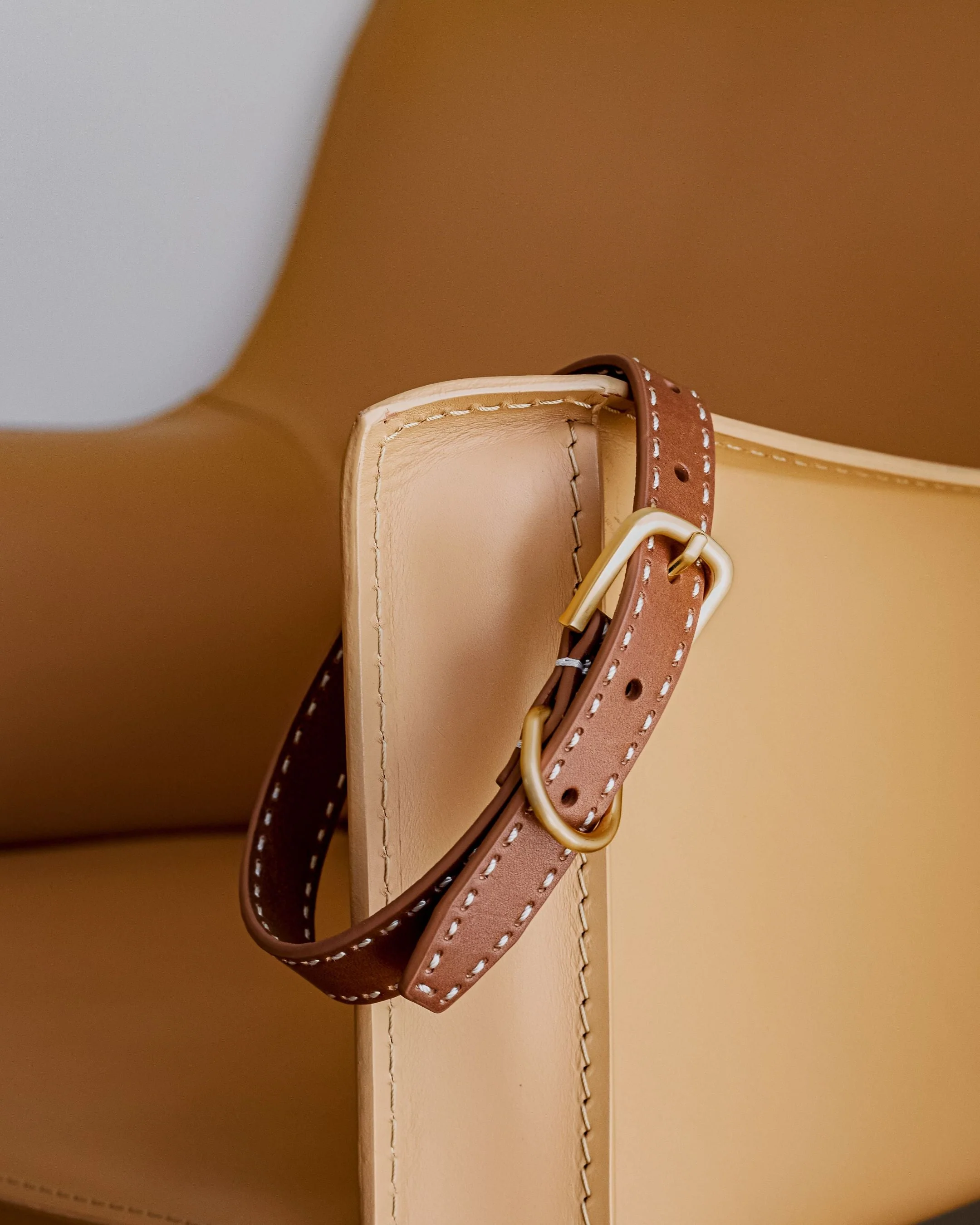 Take the Lead Tan Leather Walk Kit, Collar + Leash - Image 4