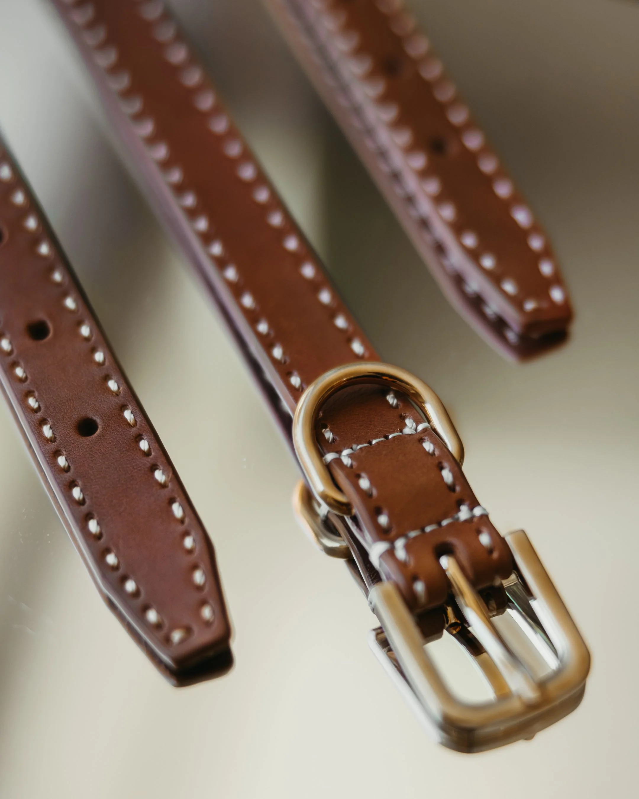 Take the Lead Tan Leather Dog Collar - Image 3