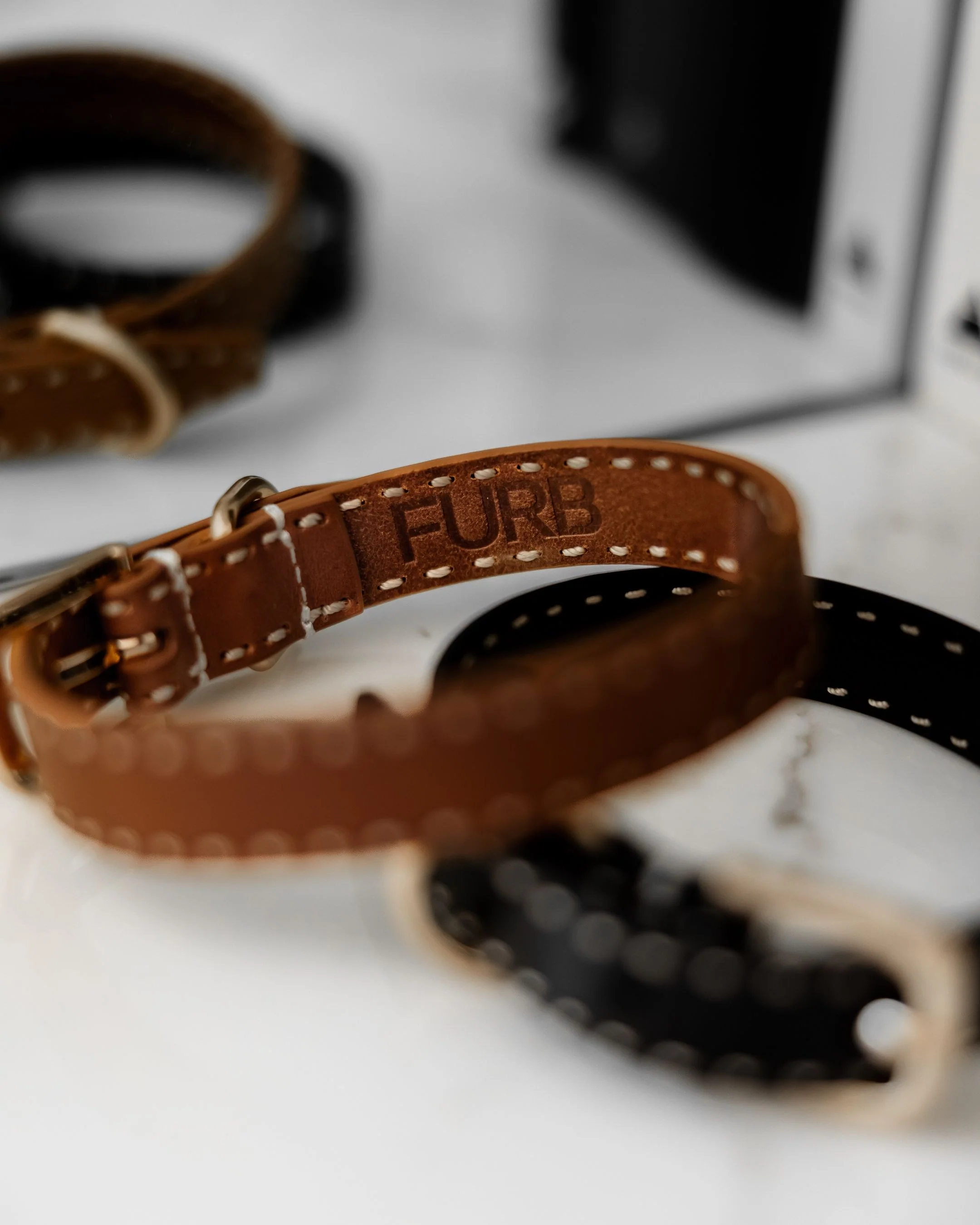 Take the Lead Tan Leather Dog Collar - Image 4