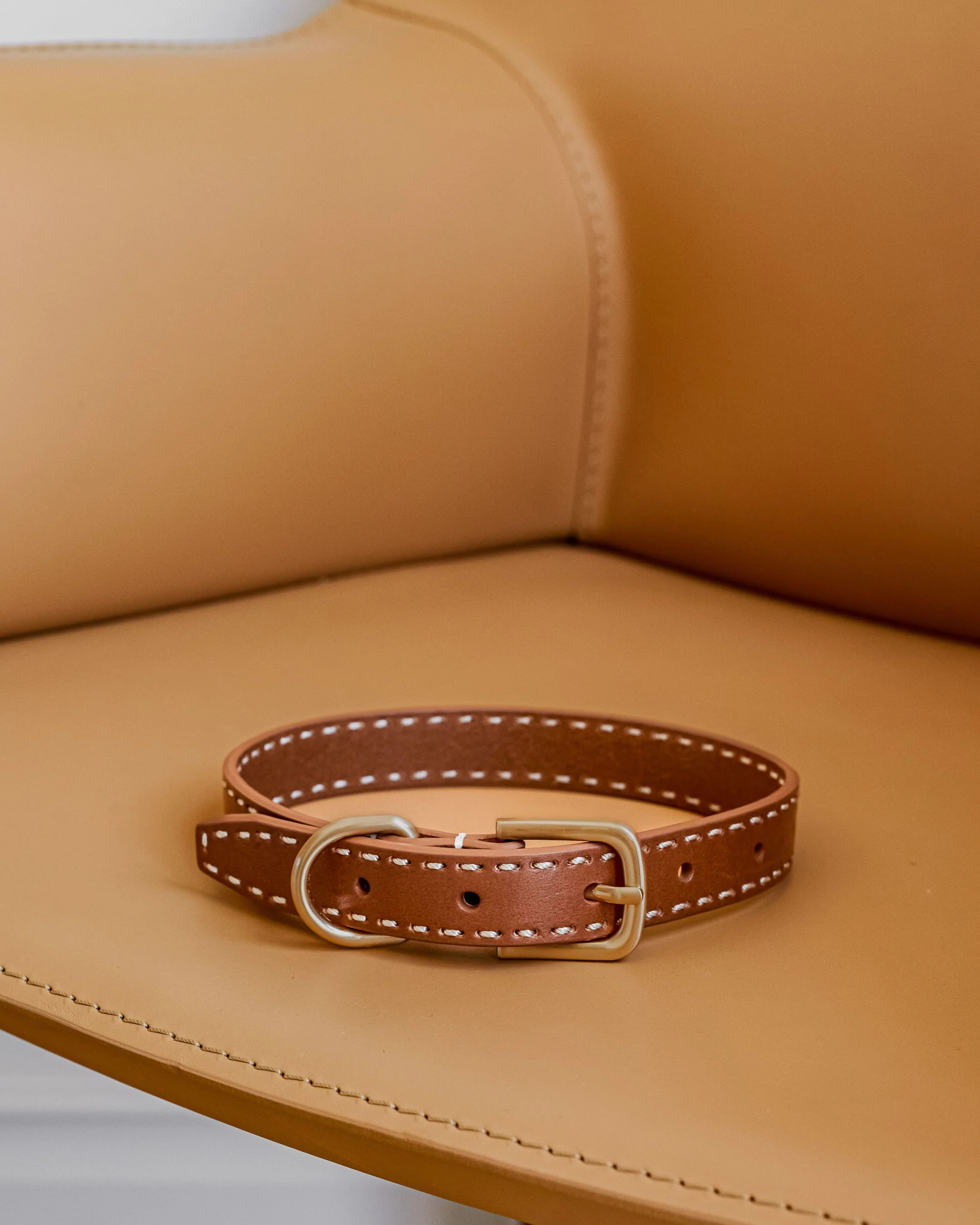 Take the Lead Tan Leather Dog Collar - Image 6