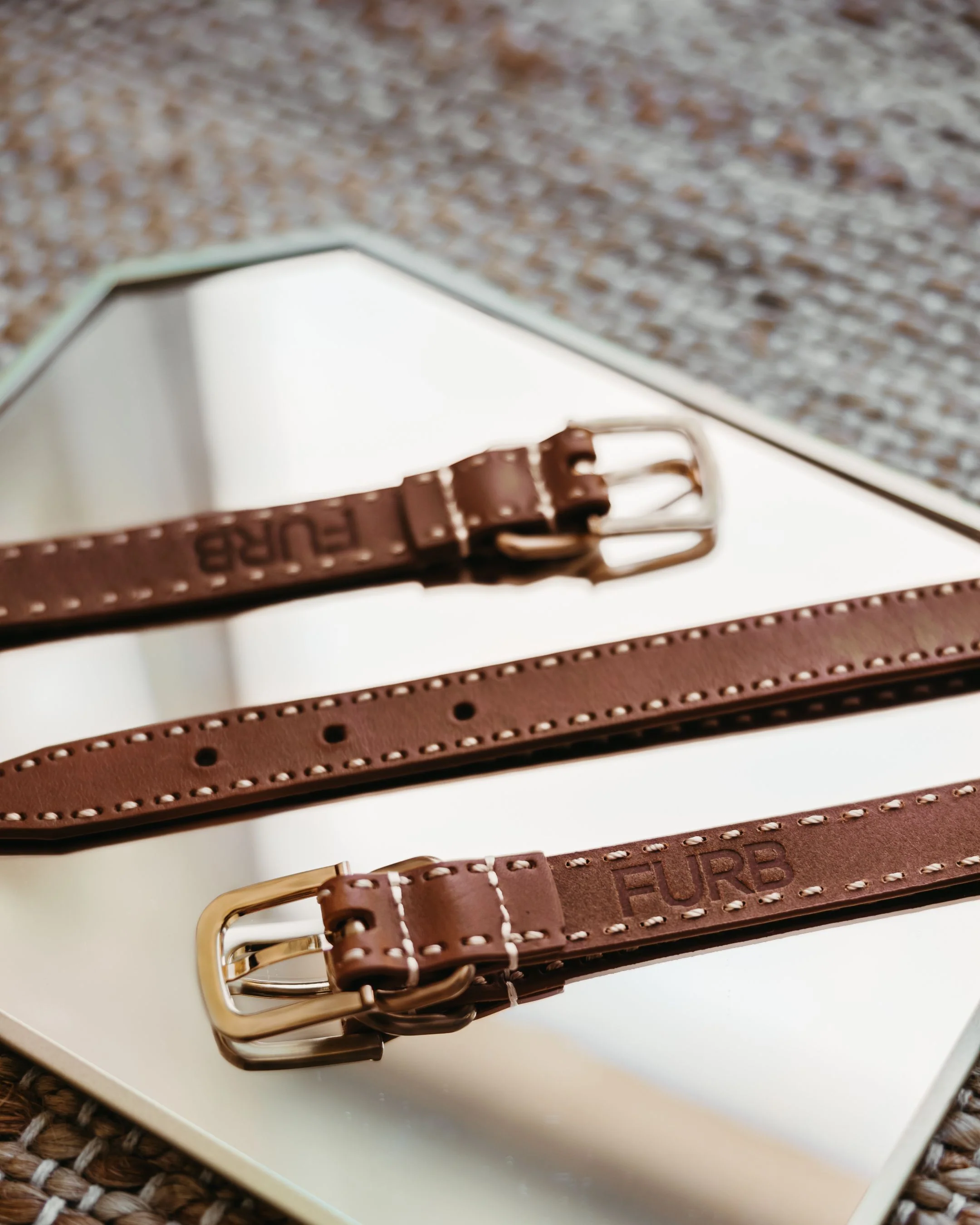 Take the Lead Tan Leather Dog Collar - Image 7