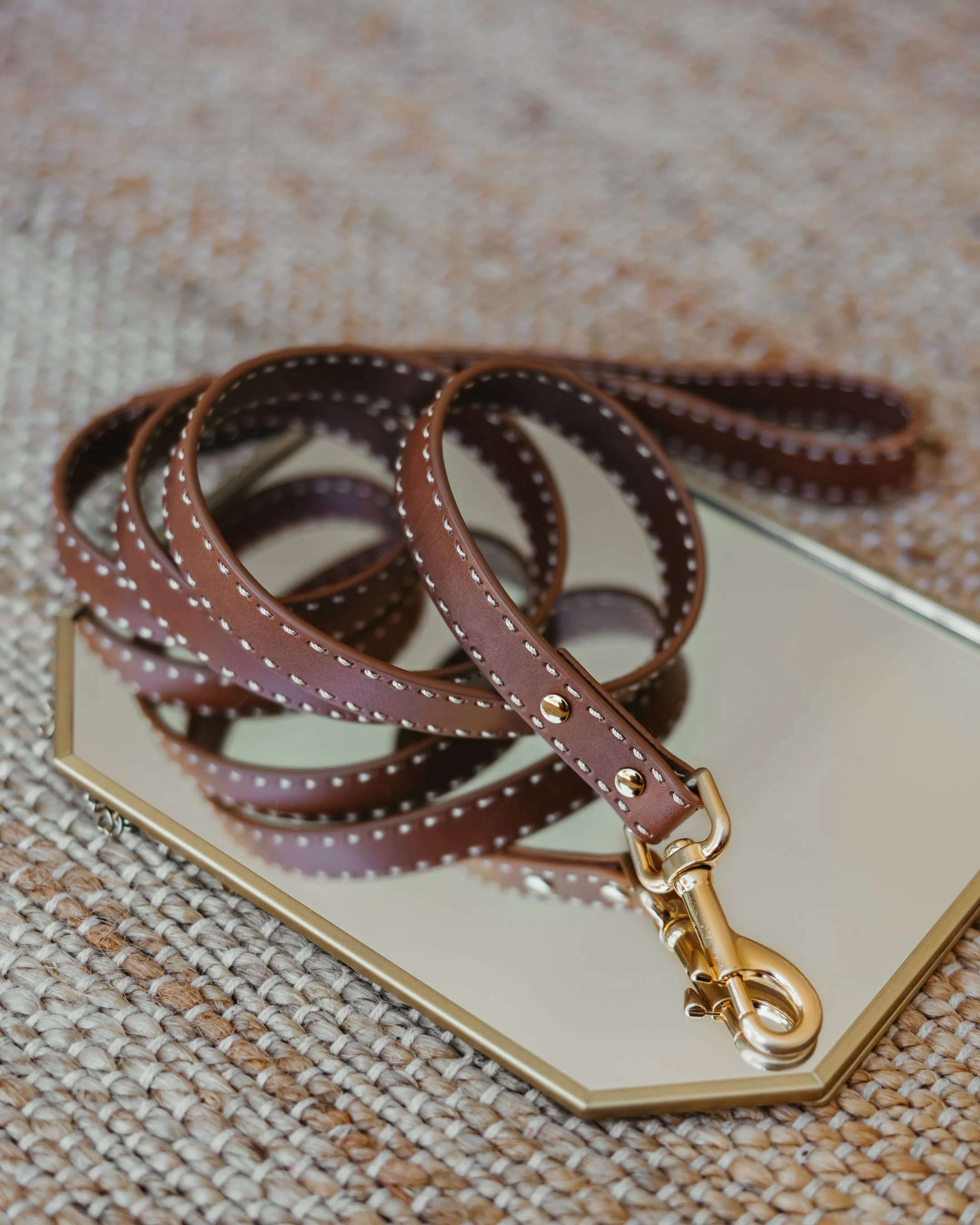 Take the Lead Tan Leather Dog Leash - Image 5