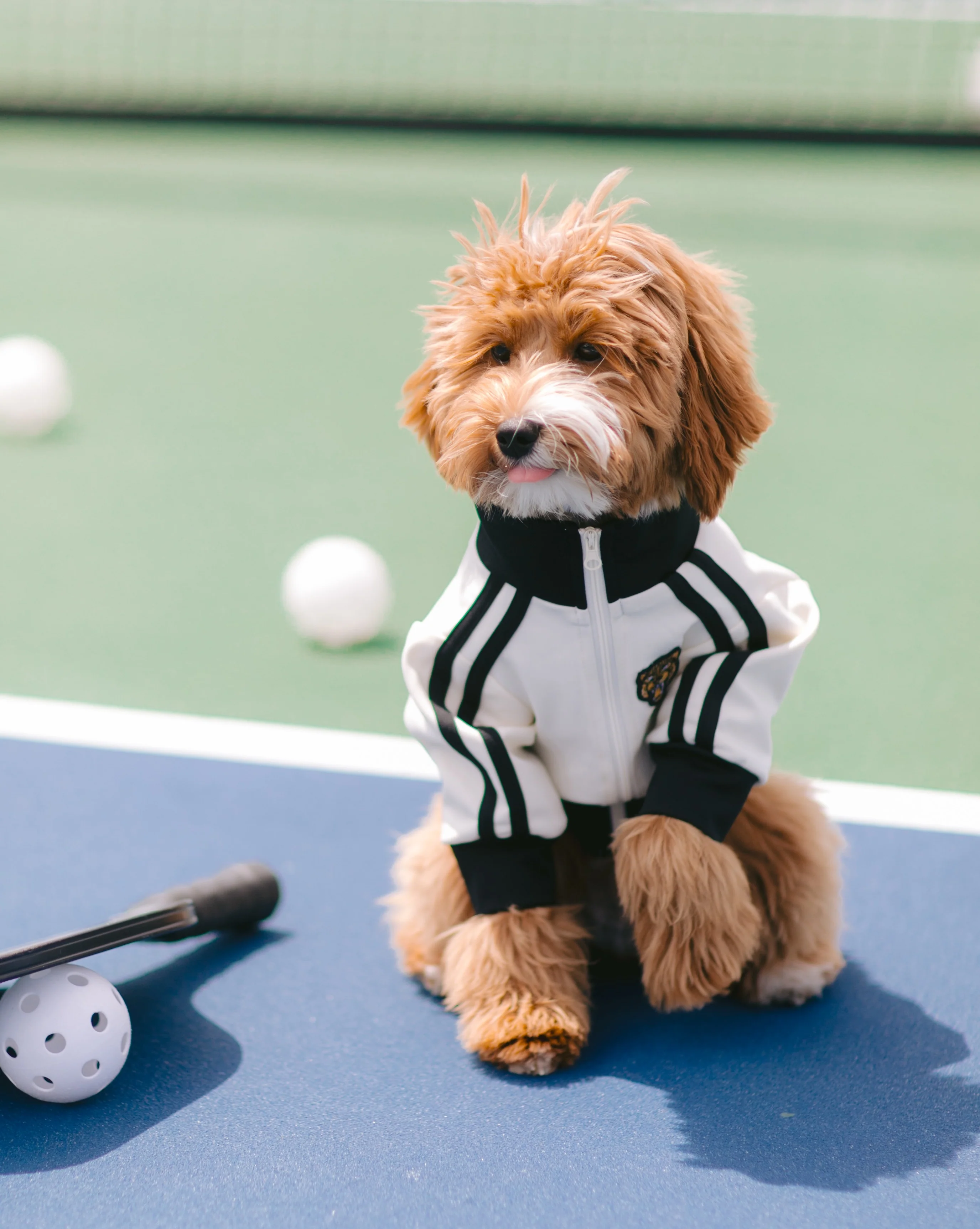 Team Captain Ivory + Black Track Jacket - Image 3
