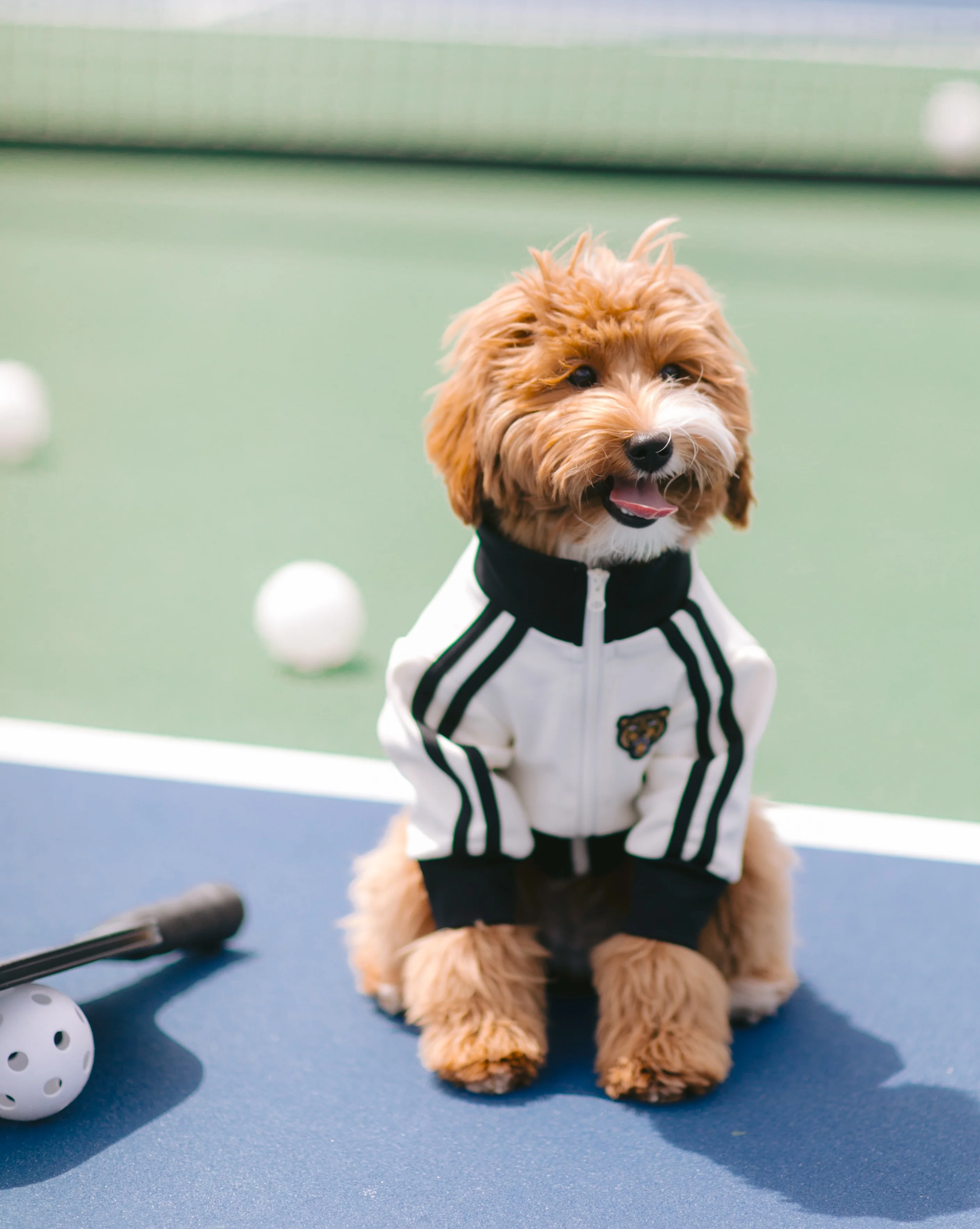 Team Captain Ivory + Black Track Jacket - Image 6