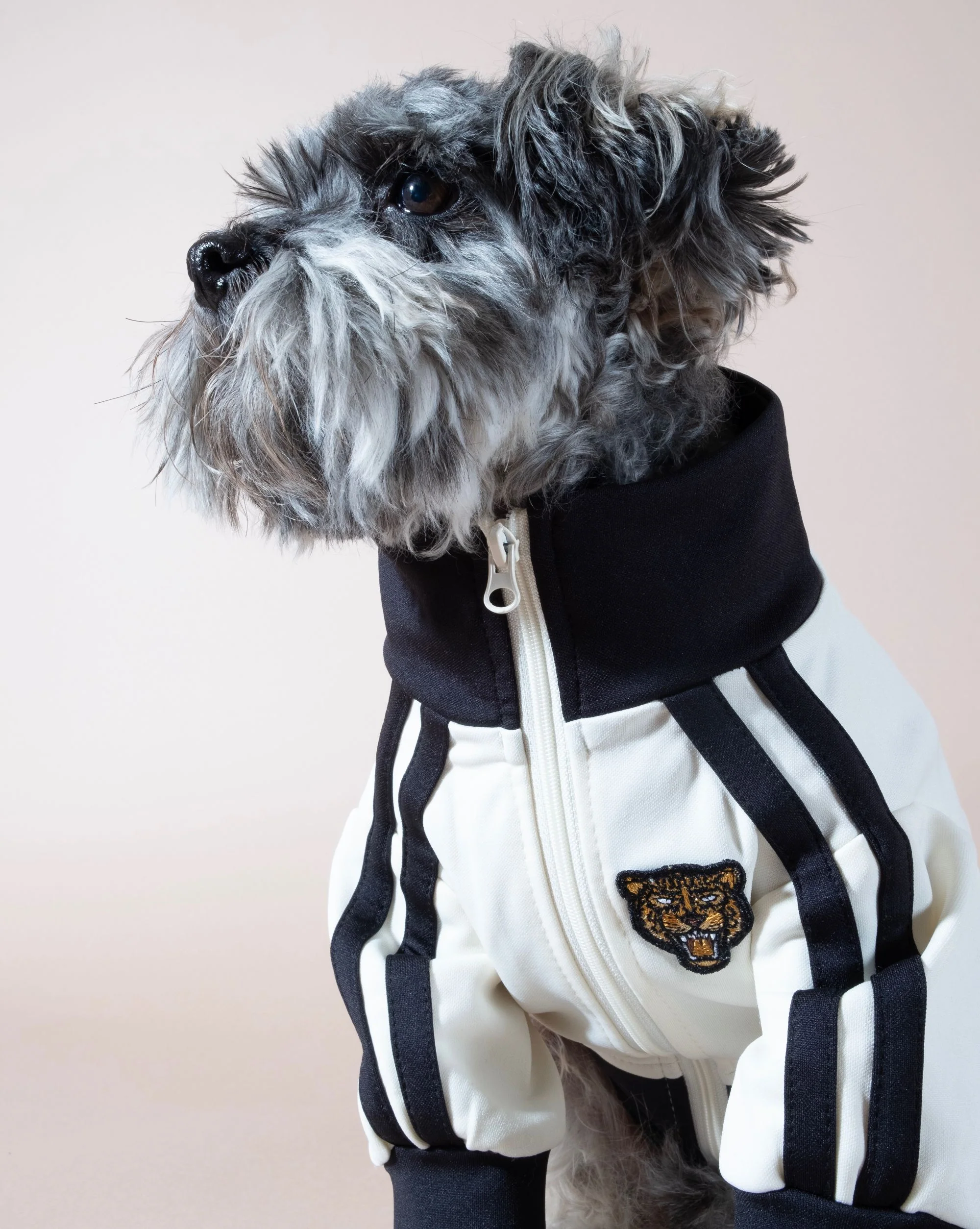 Team Captain Ivory + Black Track Jacket - Image 8