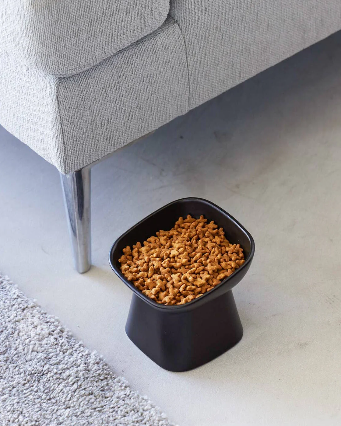 Café Canine Black Tilted Dog Bowl - Image 5