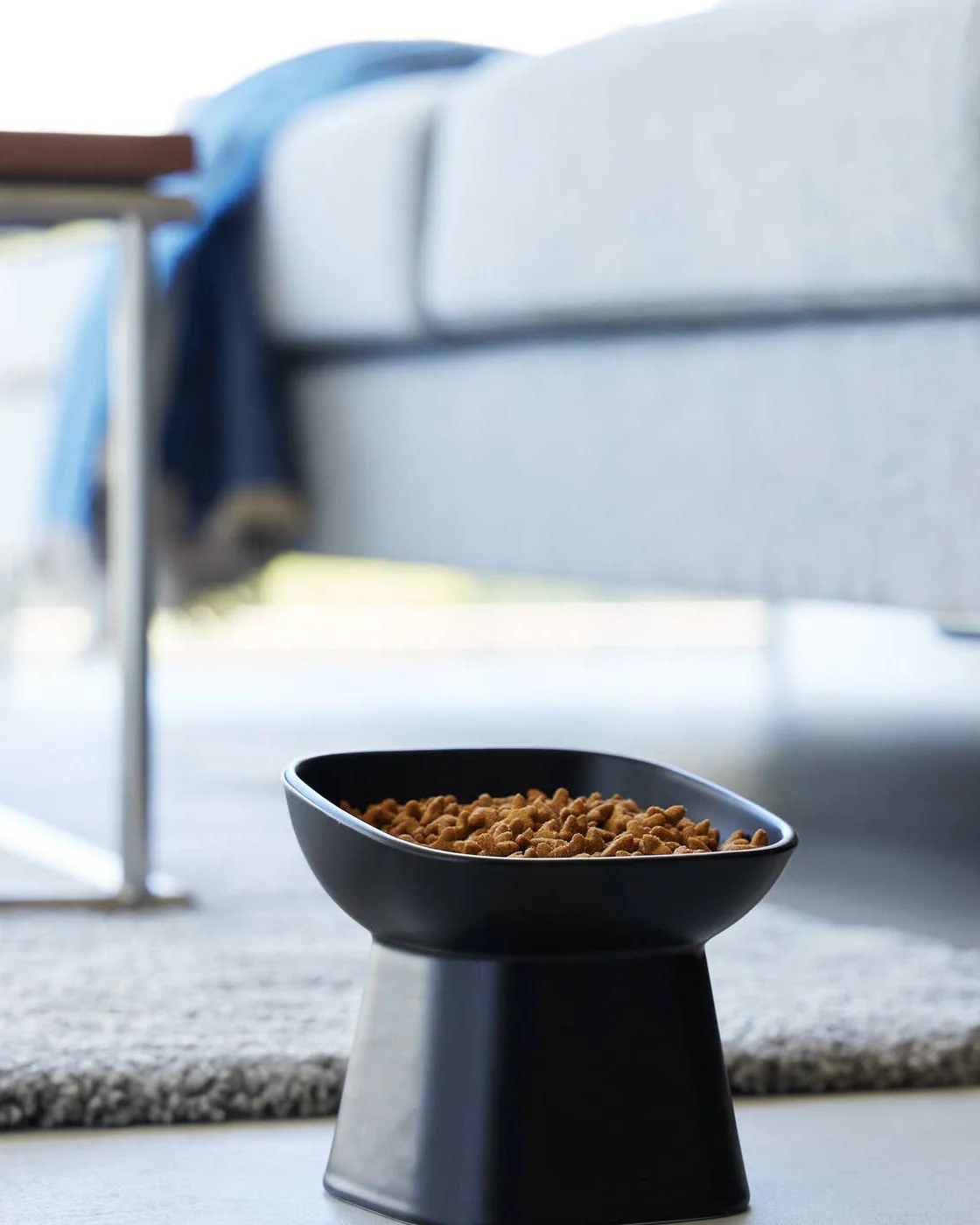 Café Canine Black Tilted Dog Bowl - Image 6