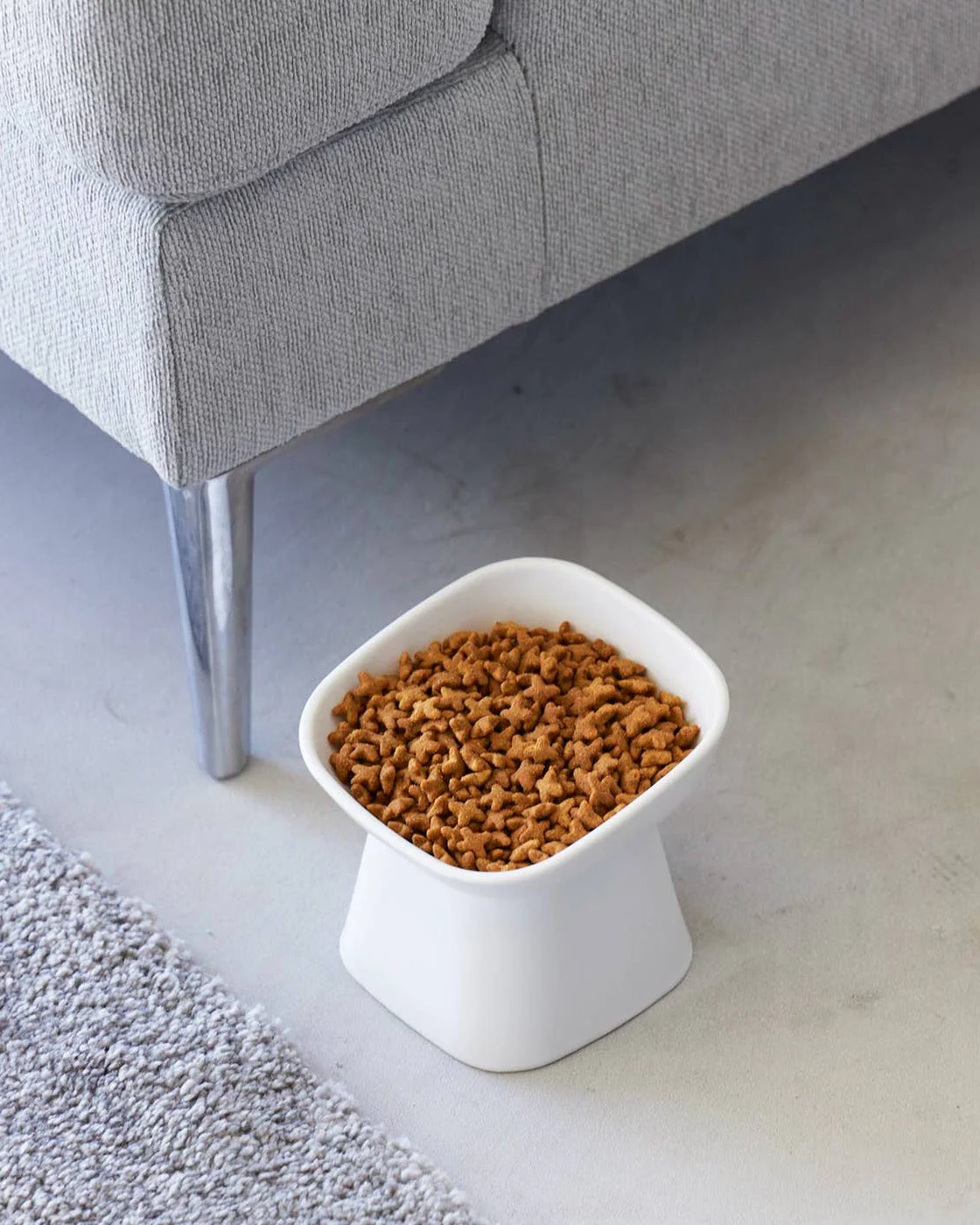 Café Canine White Tilted Dog Bowl - Image 5