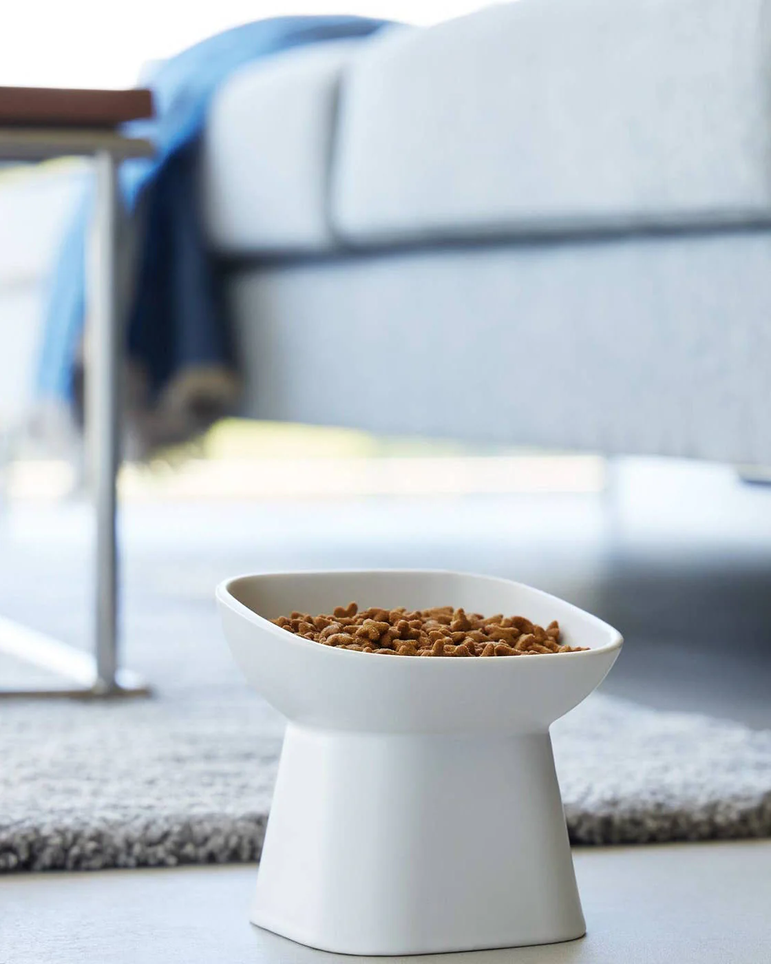Café Canine White Tilted Dog Bowl - Image 6