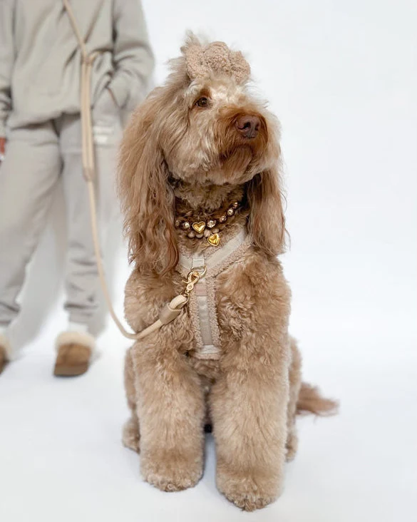 On Cloud K-9 Toffee Teddy Dog Harness - Image 2