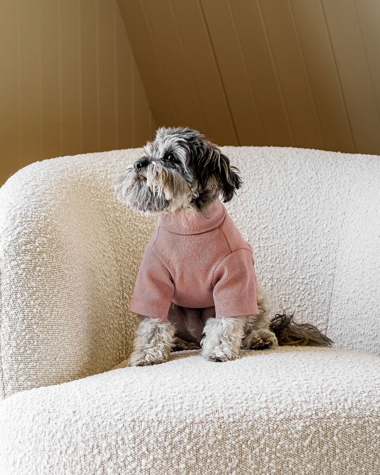 Halifax Dusty Rose Ribbed Dog Turtleneck - Image 5