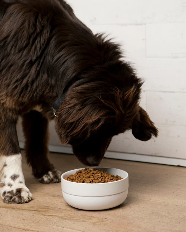 Little Foodie Grey Dog Bowl - Image 3