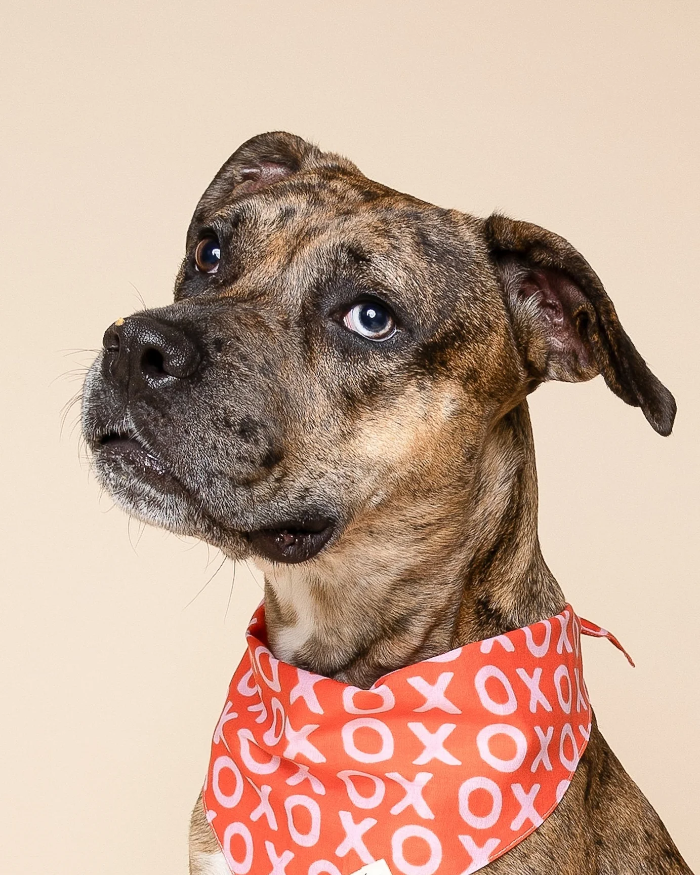 Sweet Nothings Red Bandana - Image 2