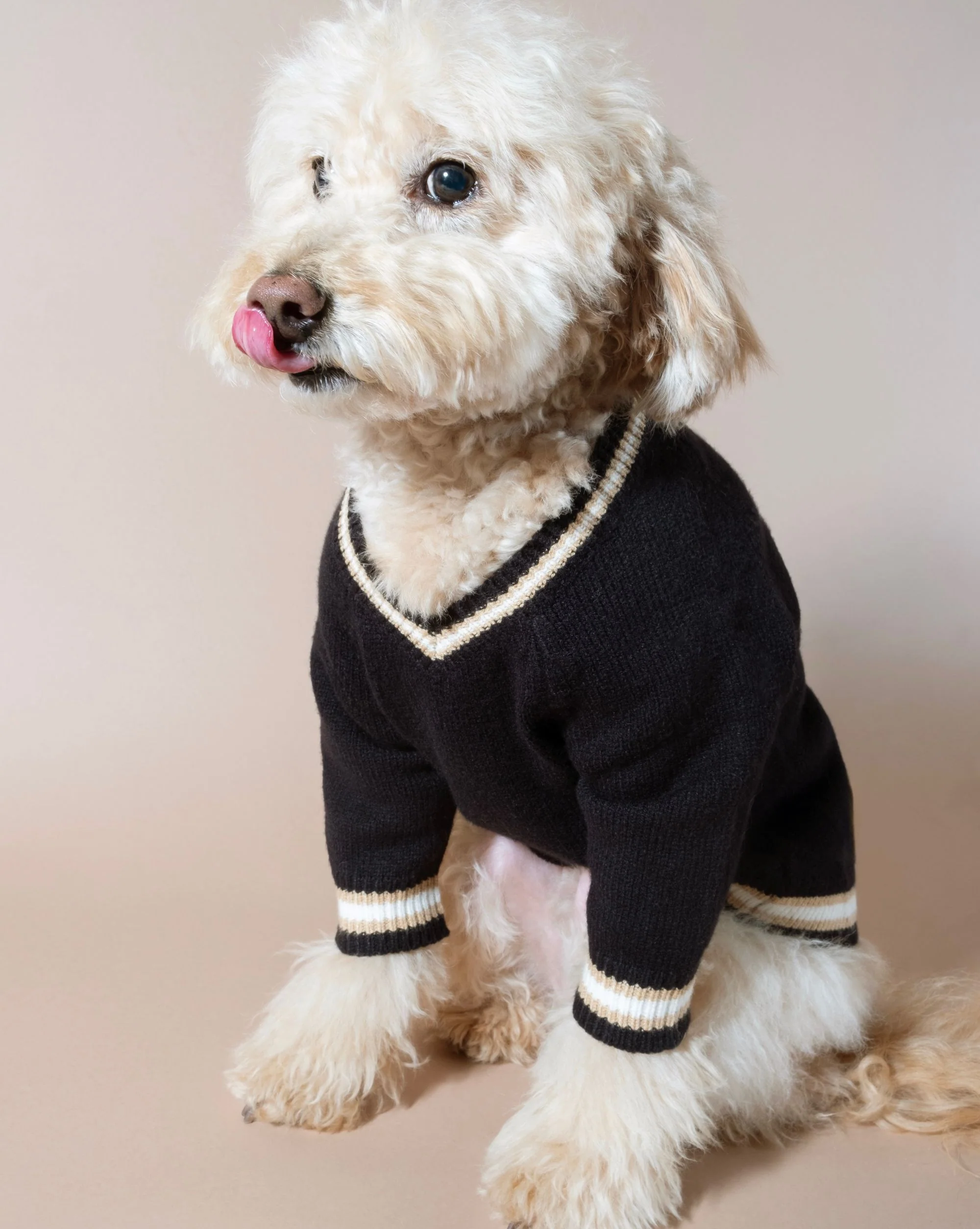 Ivy League Black V-Neck Sweater