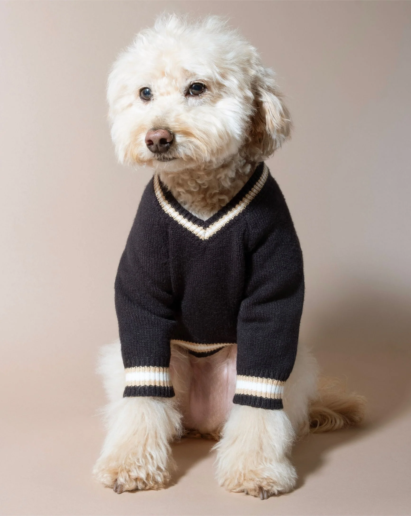 Ivy League Black V-Neck Sweater - Image 7