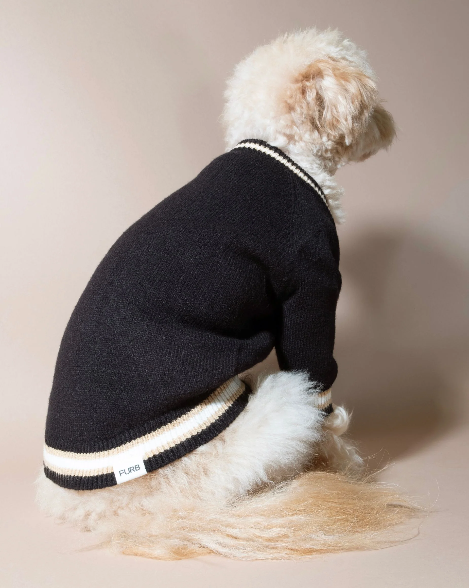 Ivy League Black V-Neck Sweater - Image 8