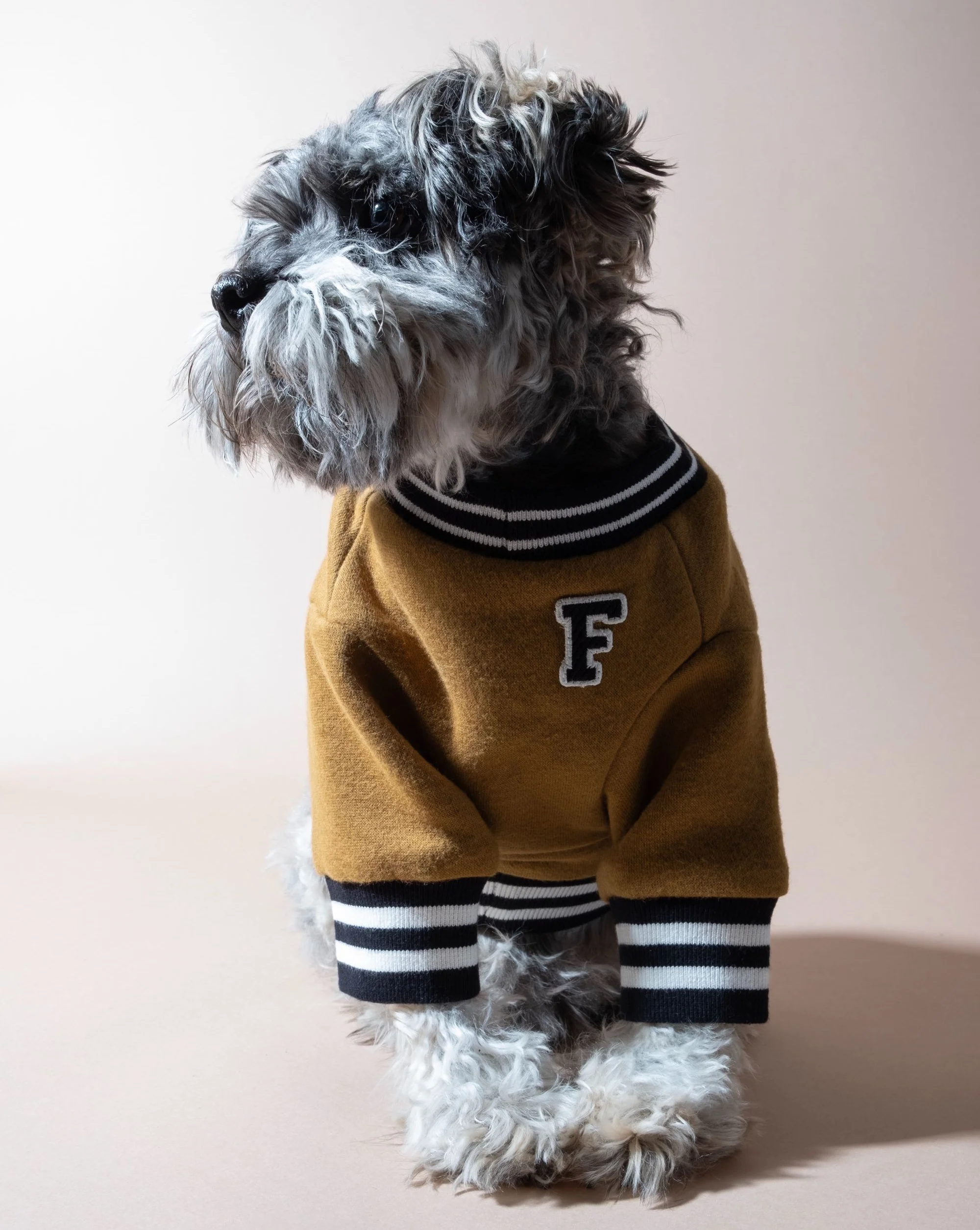 FURB University Brown Sweatshirt