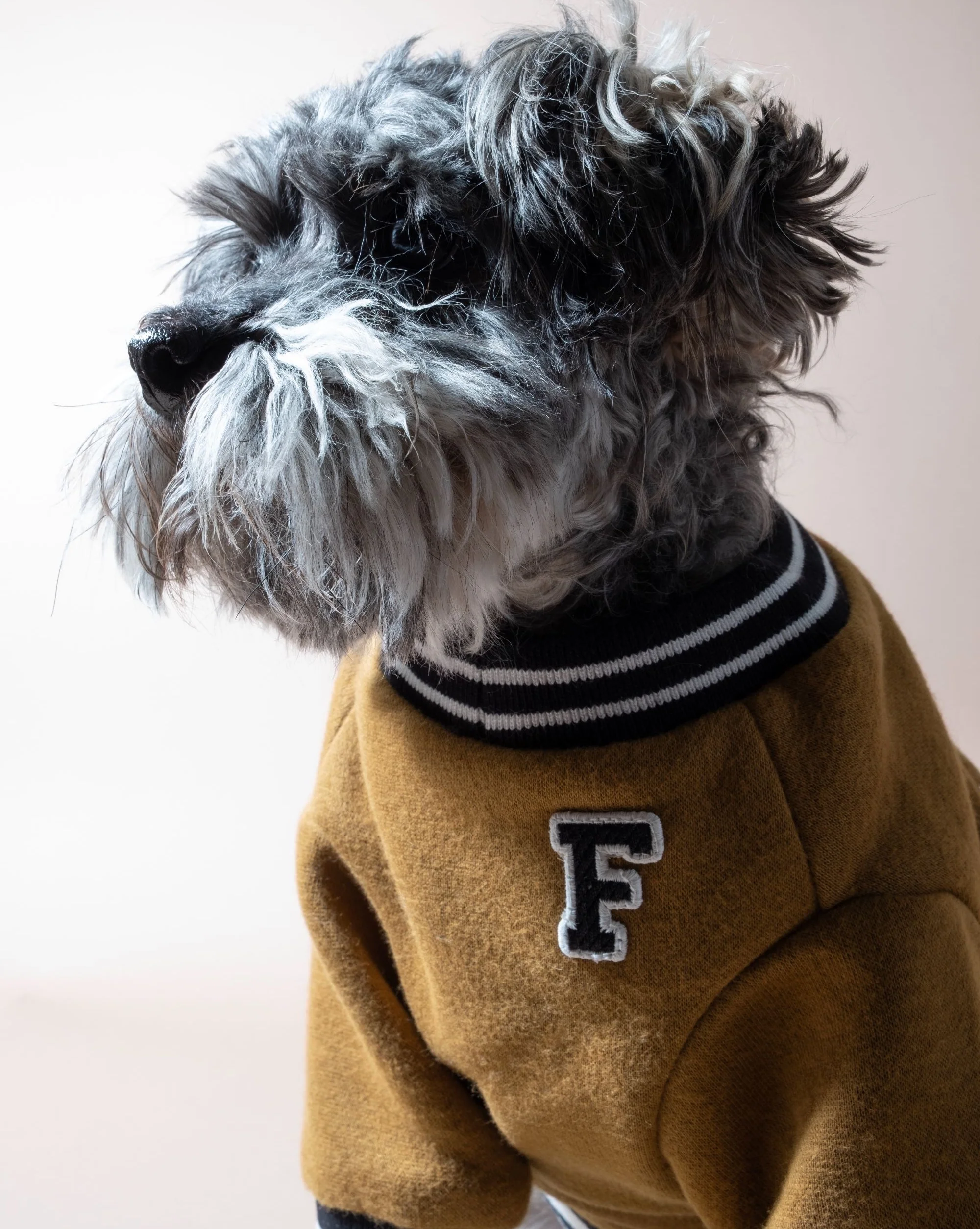 FURB University Brown Sweatshirt - Image 3