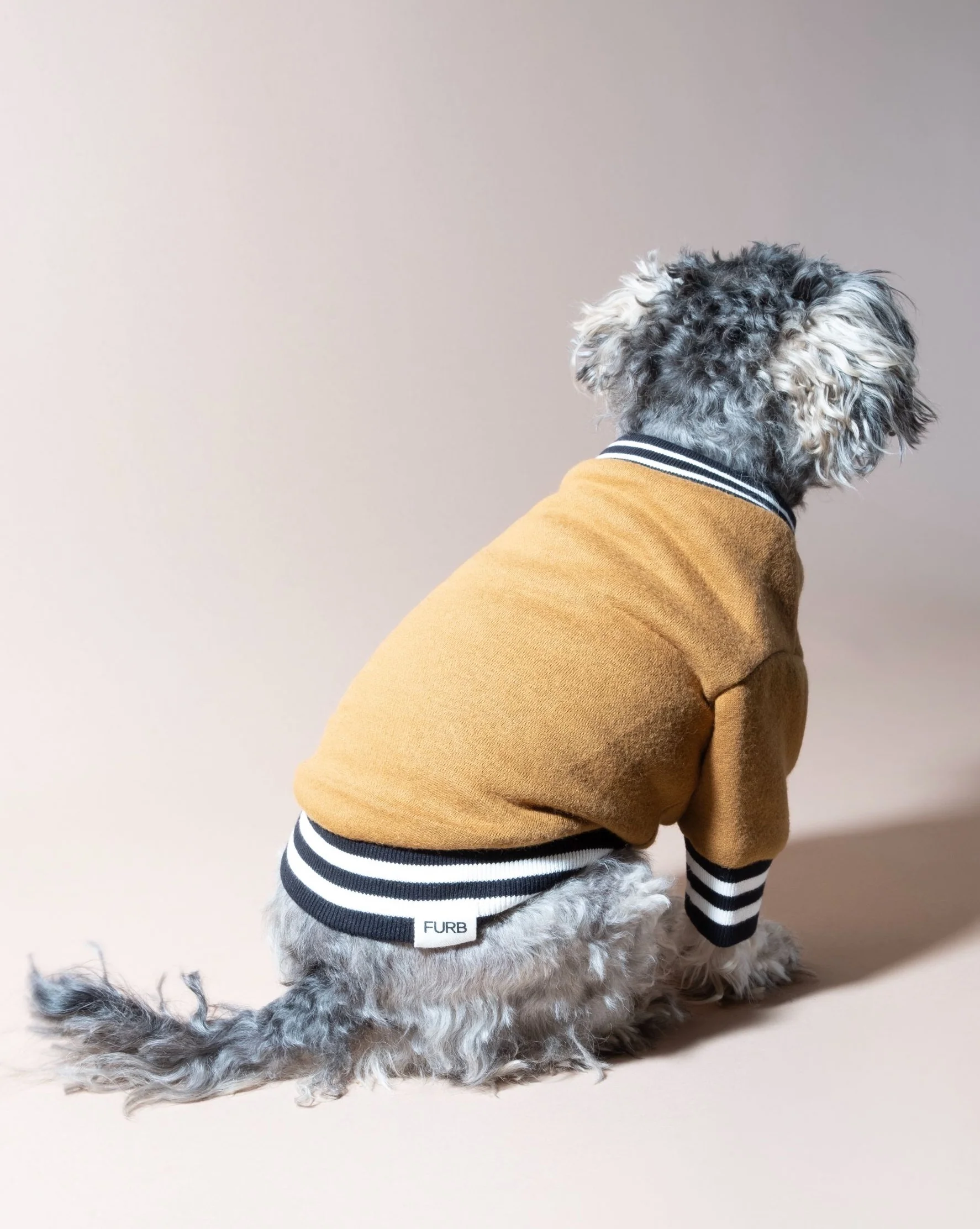 FURB University Brown Sweatshirt - Image 7