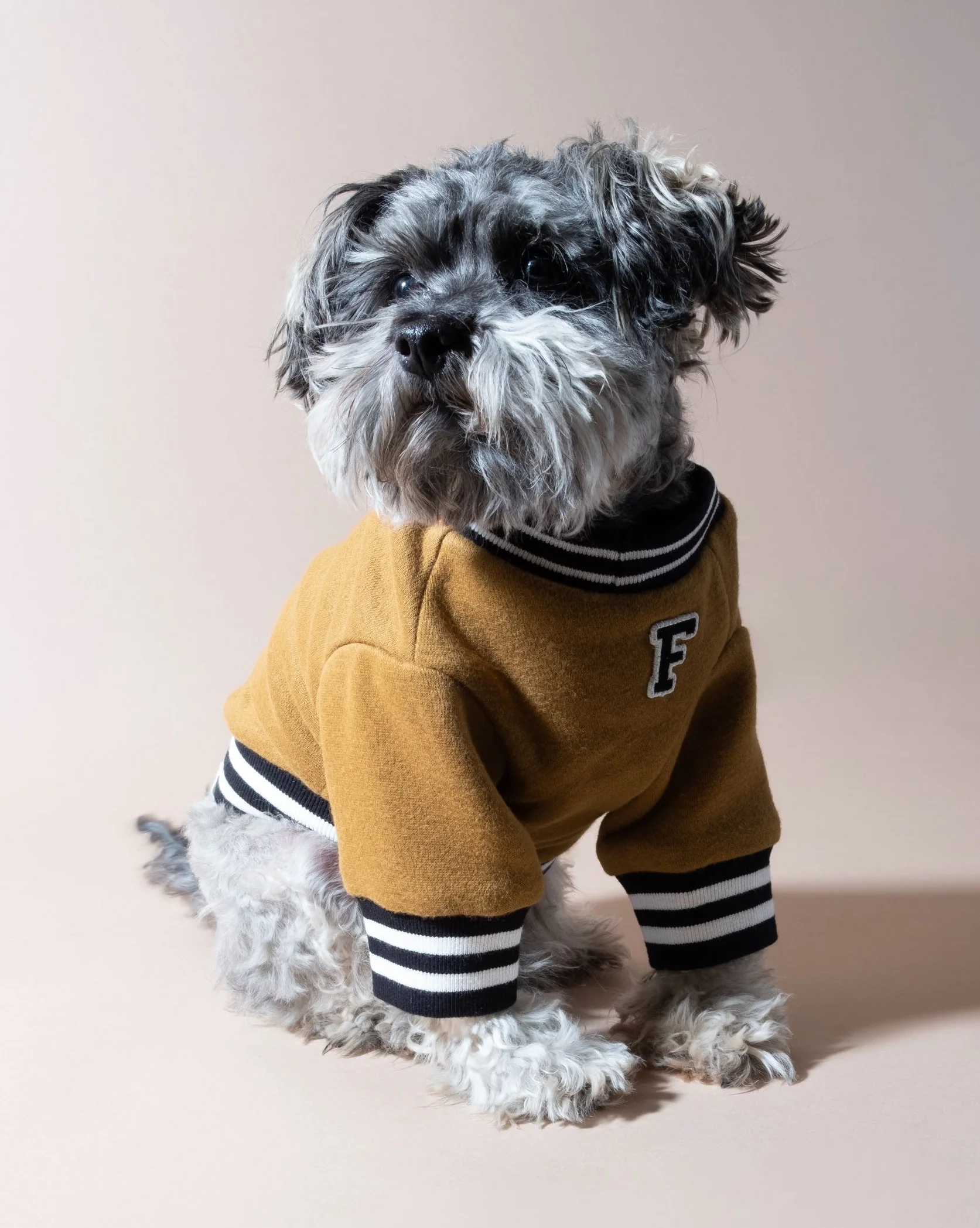 FURB University Brown Sweatshirt - Image 8