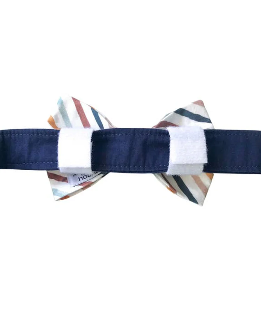 Take a Bow Striped Cotton Bow Tie - Image 4