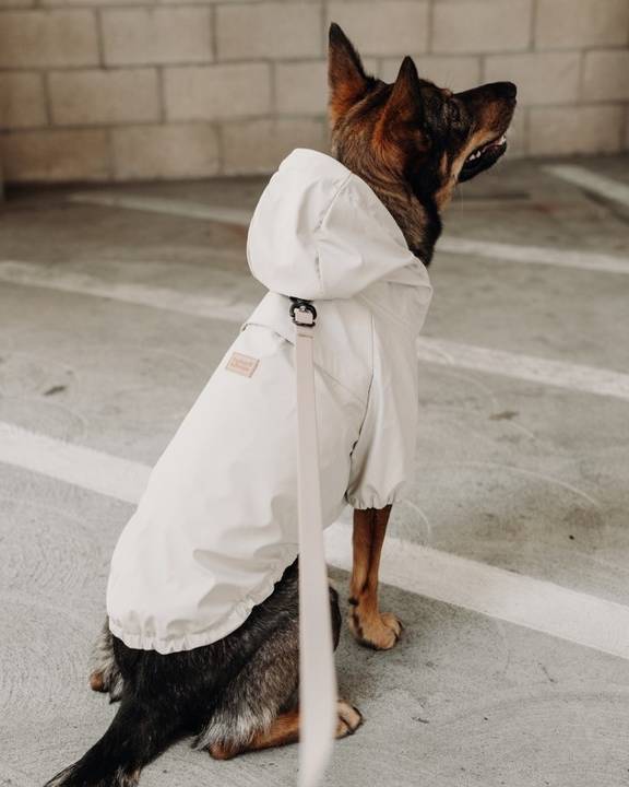 Brighton Ivory Rain Jacket