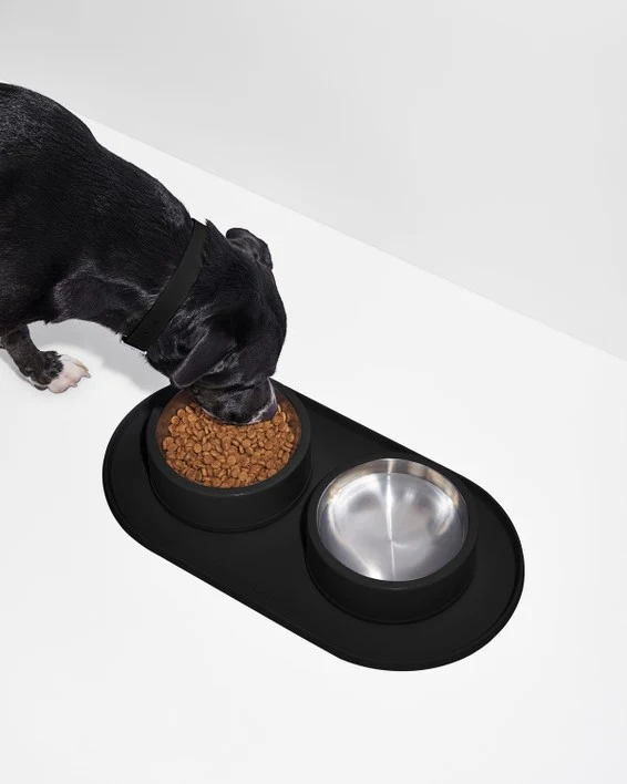 Wild One Black Silicon Dog Placemat - Image 2