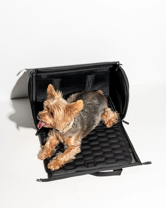 Wild One Travel Carrier Black - Image 3