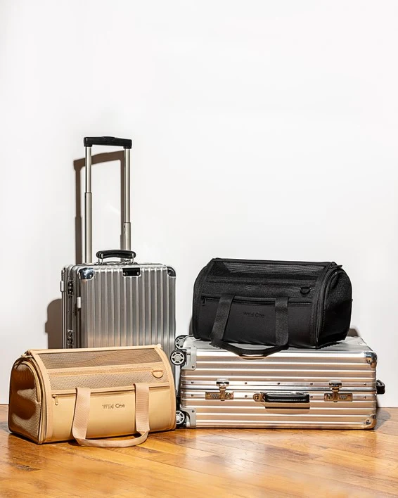 Wild One Travel Carrier Black - Image 7