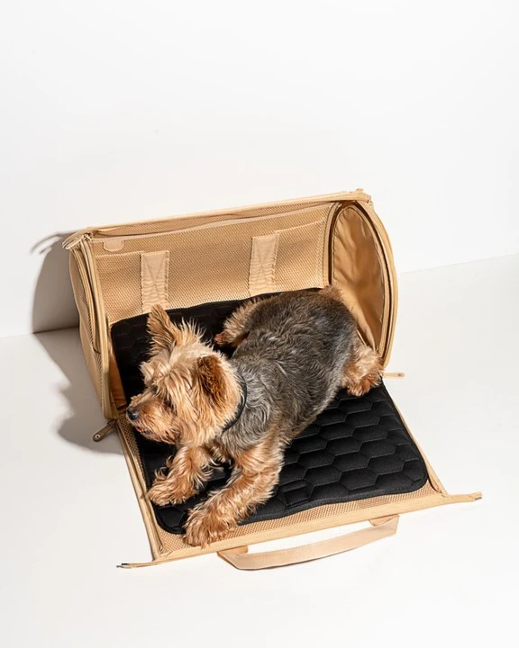 Wild One Travel Carrier Tan - Image 2