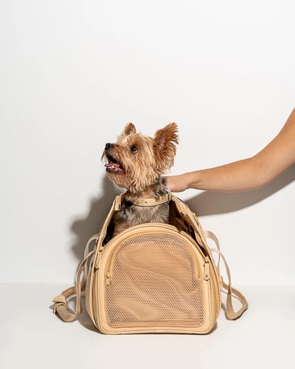 Wild One Travel Carrier Tan - Image 3